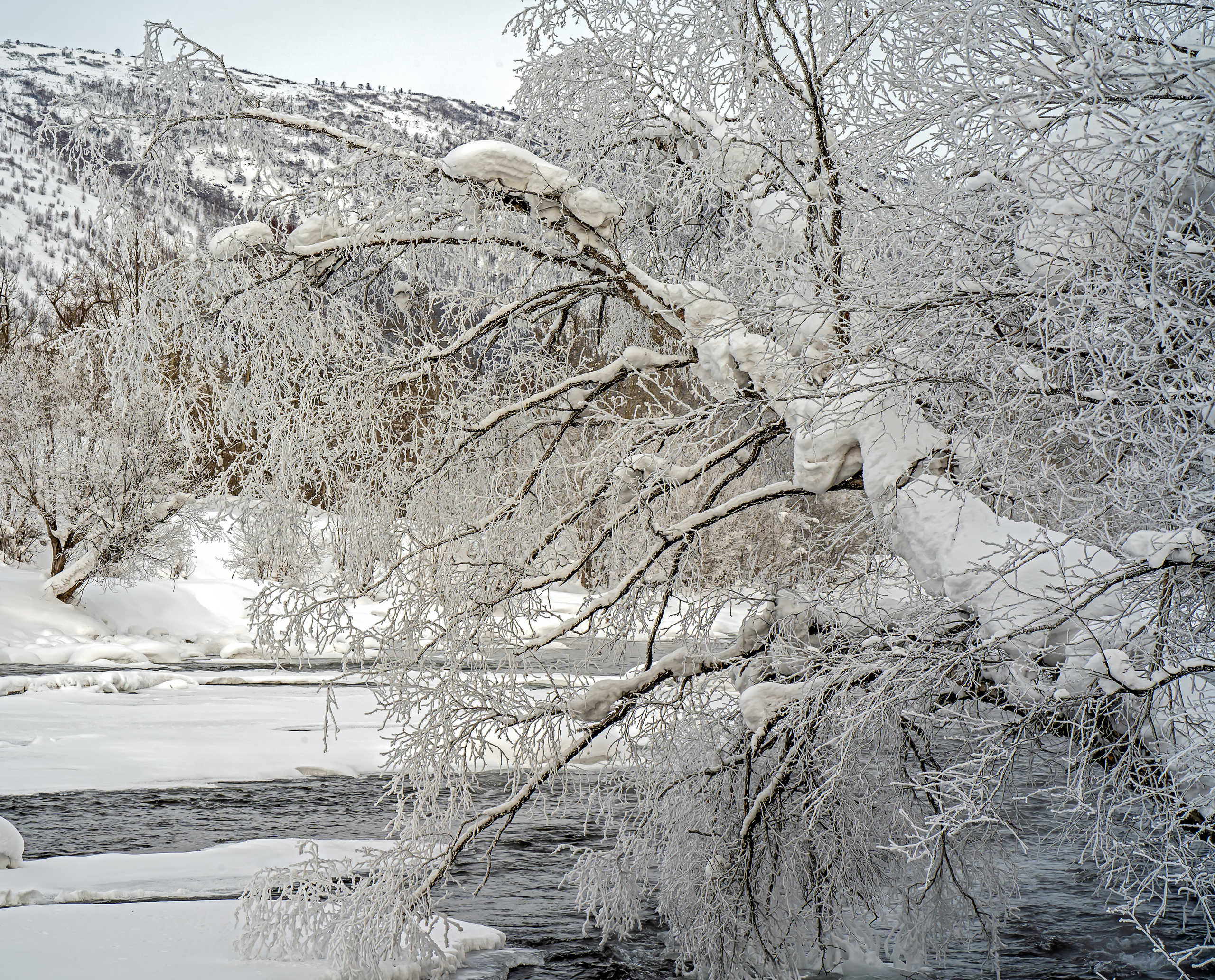 Эссо фото. Фотограф Ворошилов Дмитрий. Эссо. Камчатка