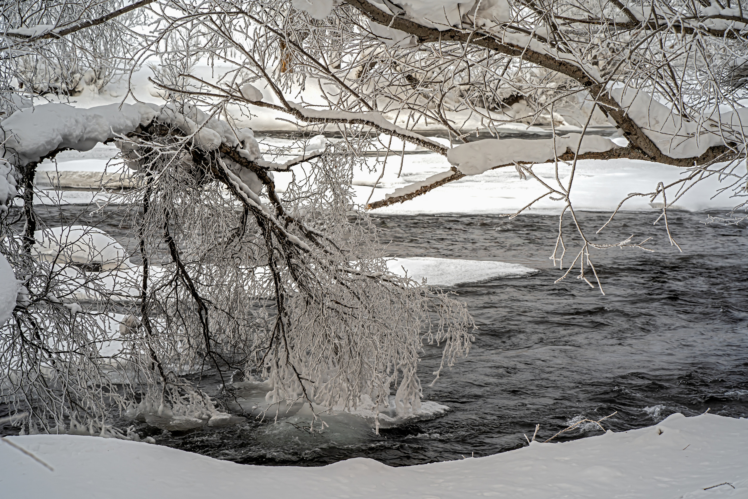 Эссо фото. Фотограф Ворошилов Дмитрий. Эссо. Камчатка