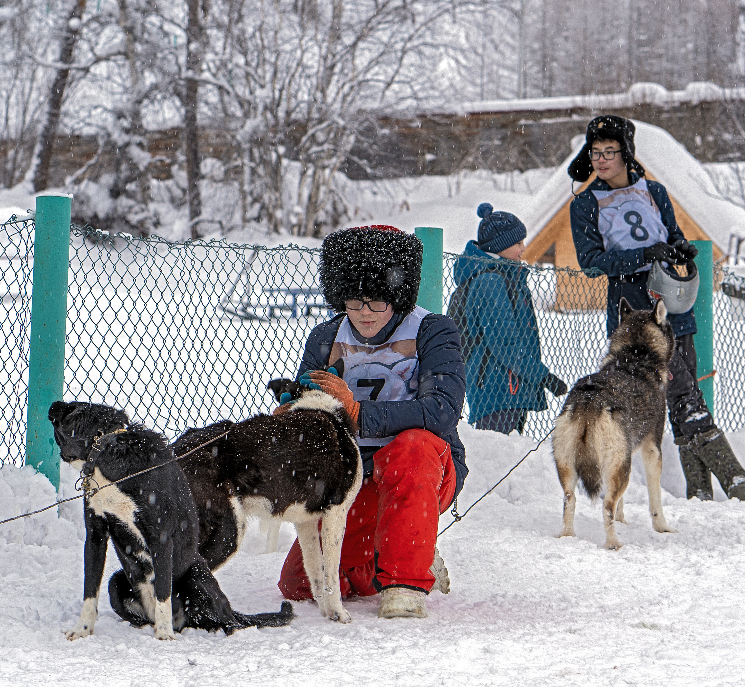 Фотограф Ворошилов Дмитрий. Эссо. Камчатка