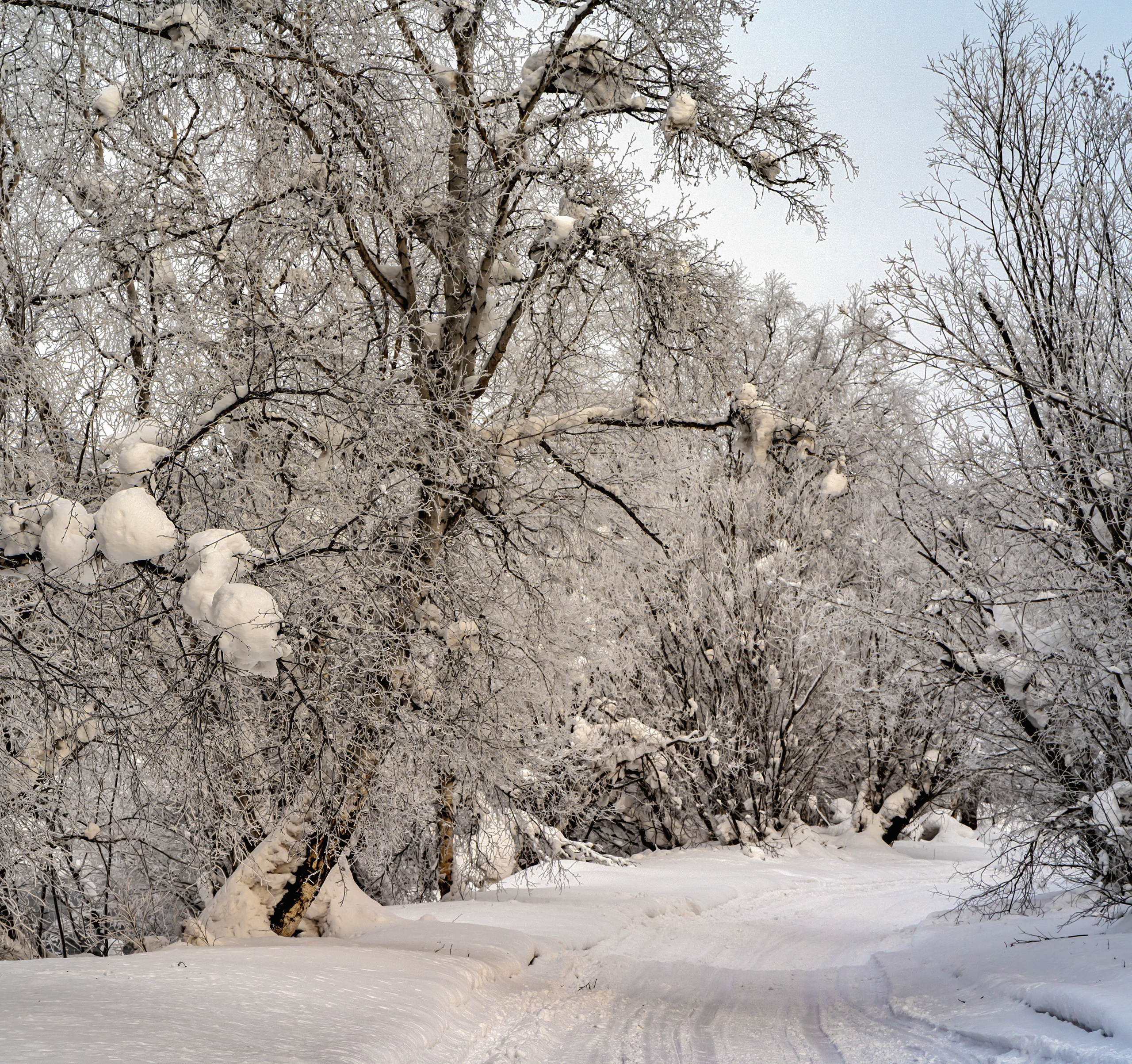 Эссо фото. Фотограф Ворошилов Дмитрий. Эссо. Камчатка