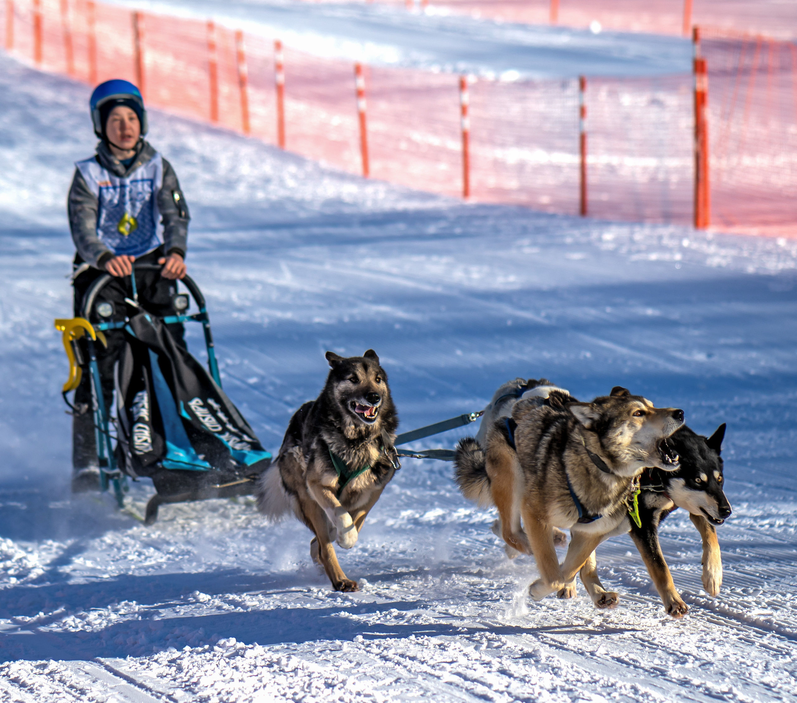 Гонки в эссо. Фотограф Ворошилов Дмитрий. Эссо. Камчатка