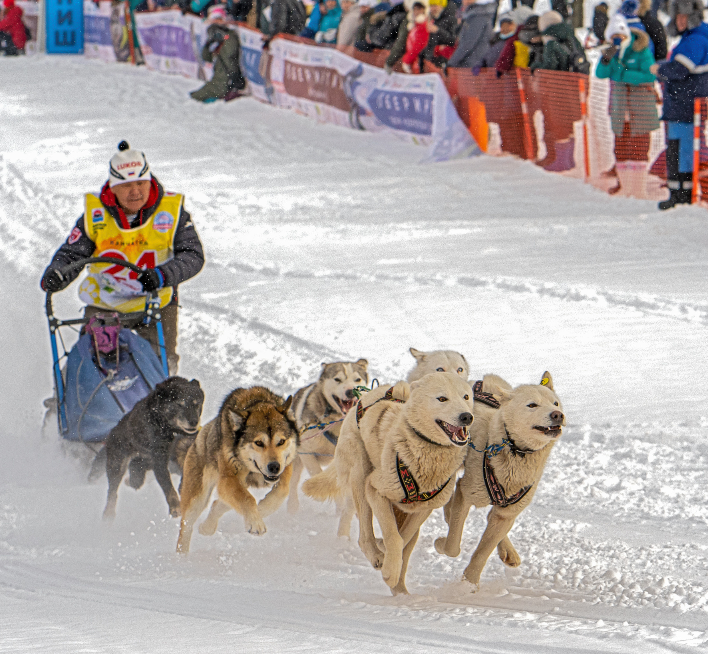Фотограф Ворошилов Дмитрий. Эссо. Камчатка