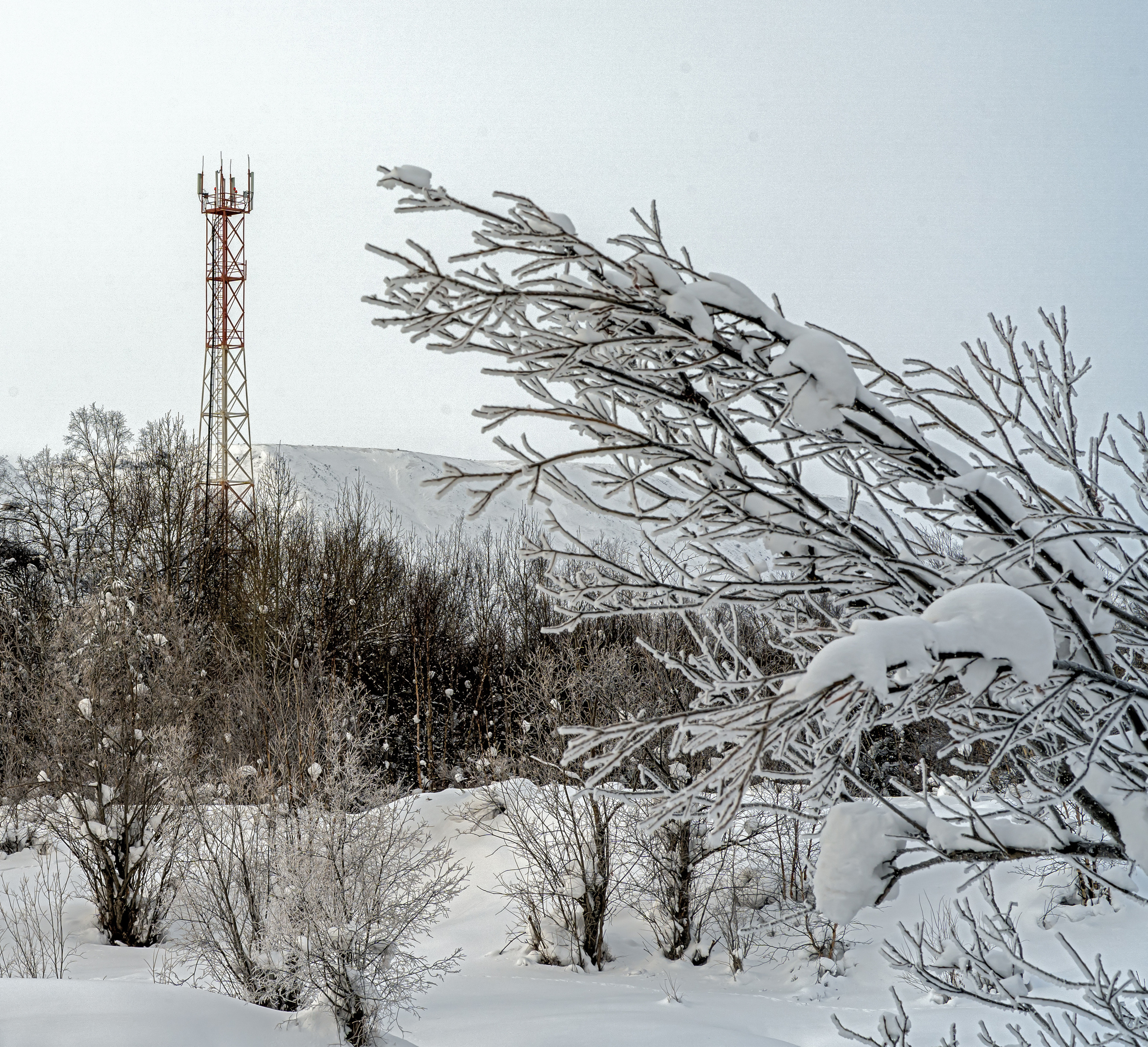 Эссо фото. Фотограф Ворошилов Дмитрий. Эссо. Камчатка