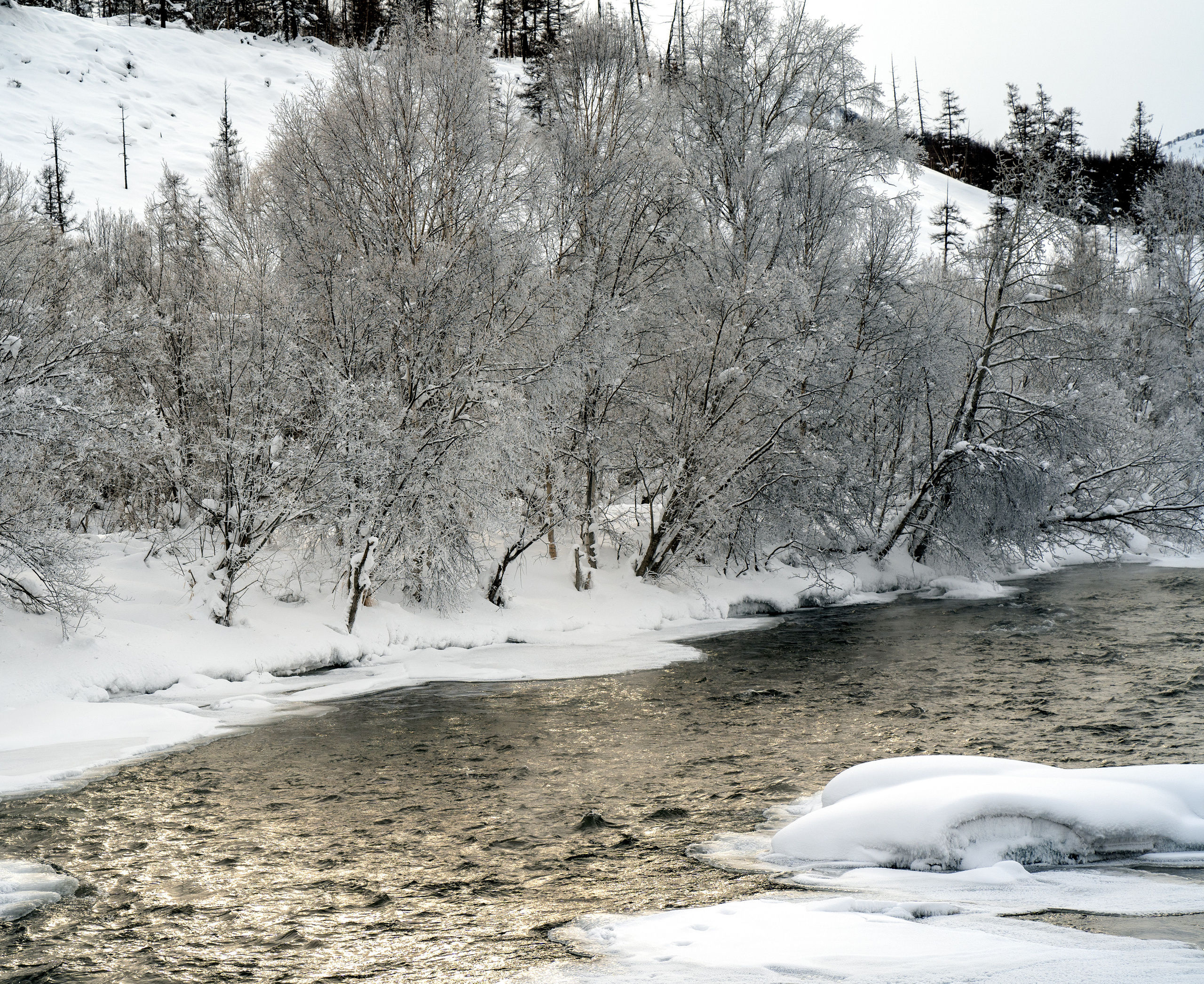 Эссо фото. Фотограф Ворошилов Дмитрий. Эссо. Камчатка