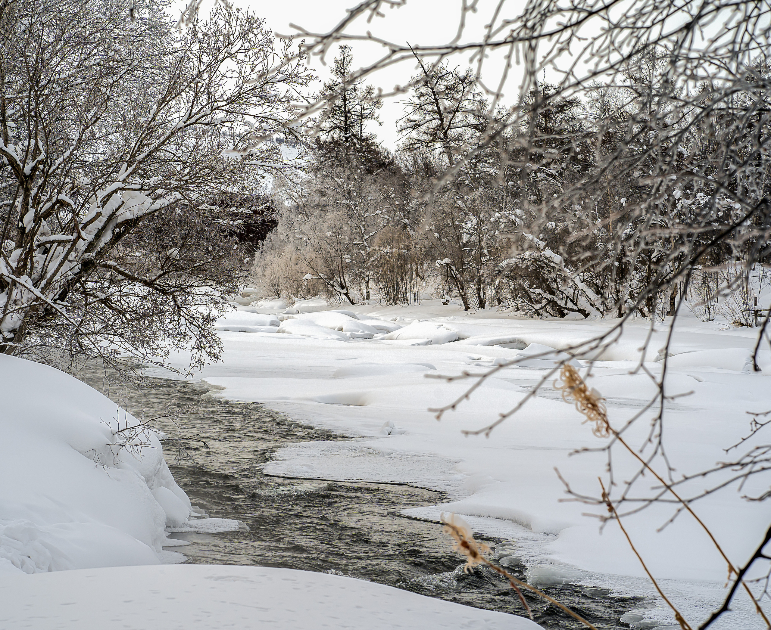 Эссо фото. Фотограф Ворошилов Дмитрий. Эссо. Камчатка