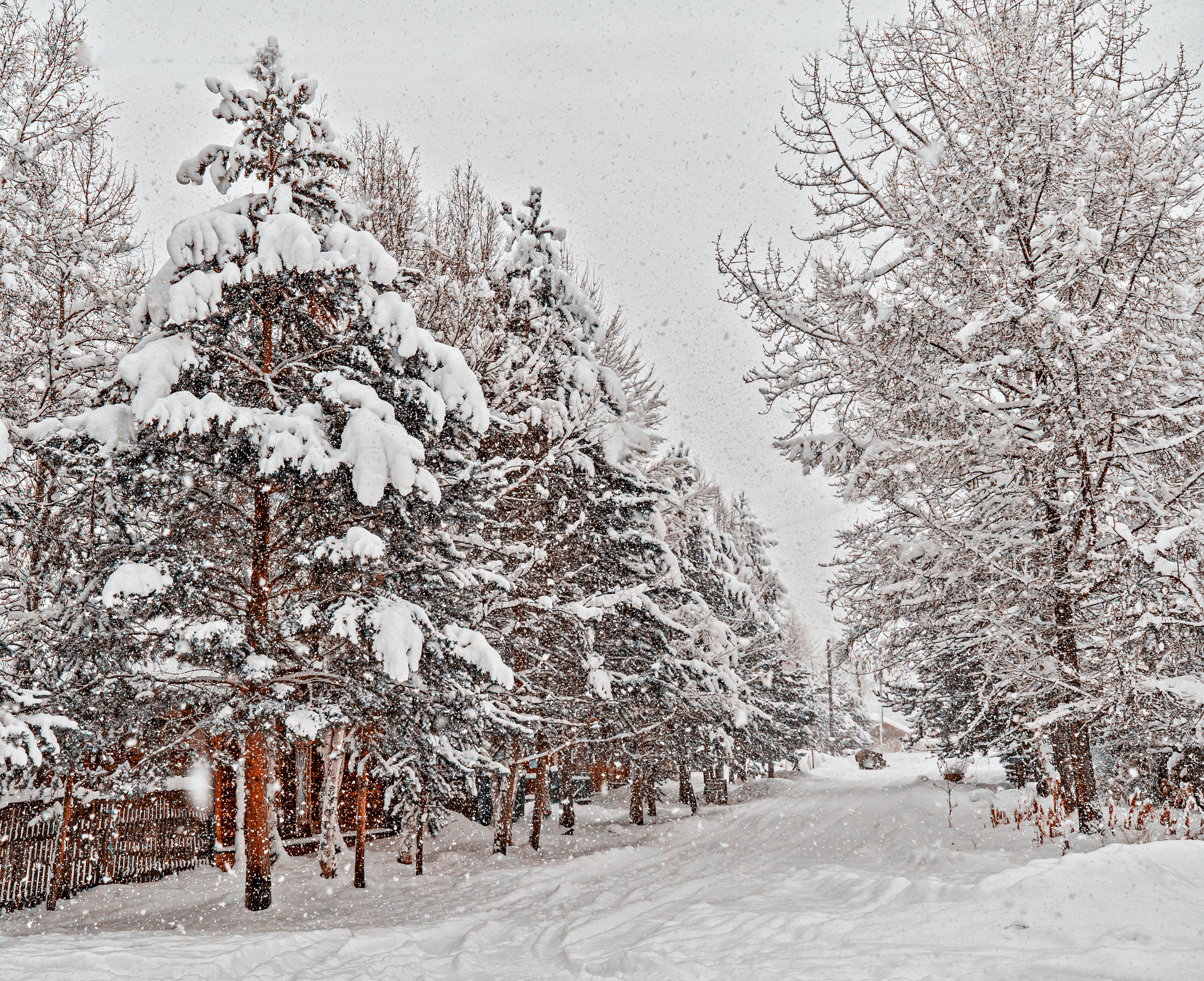 Фотограф Ворошилов Дмитрий. Эссо. Камчатка