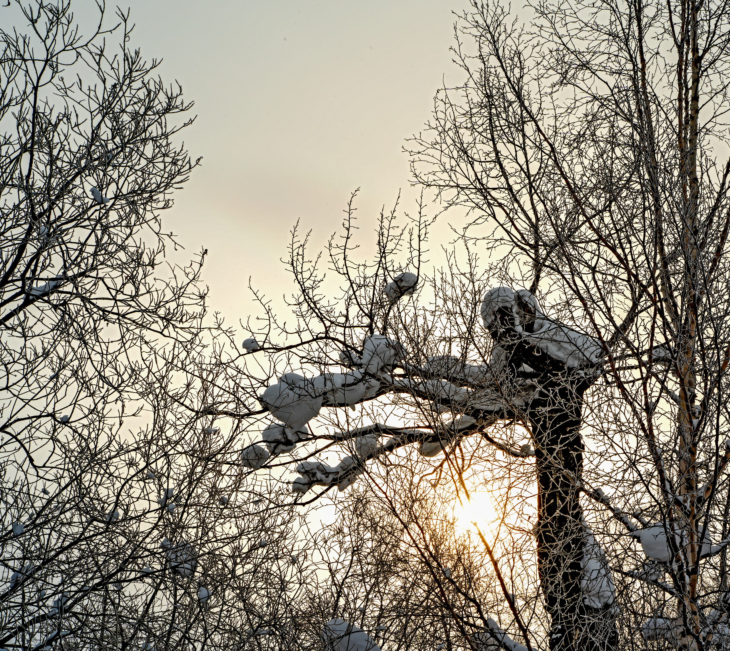 Эссо фото. Фотограф Ворошилов Дмитрий. Эссо. Камчатка