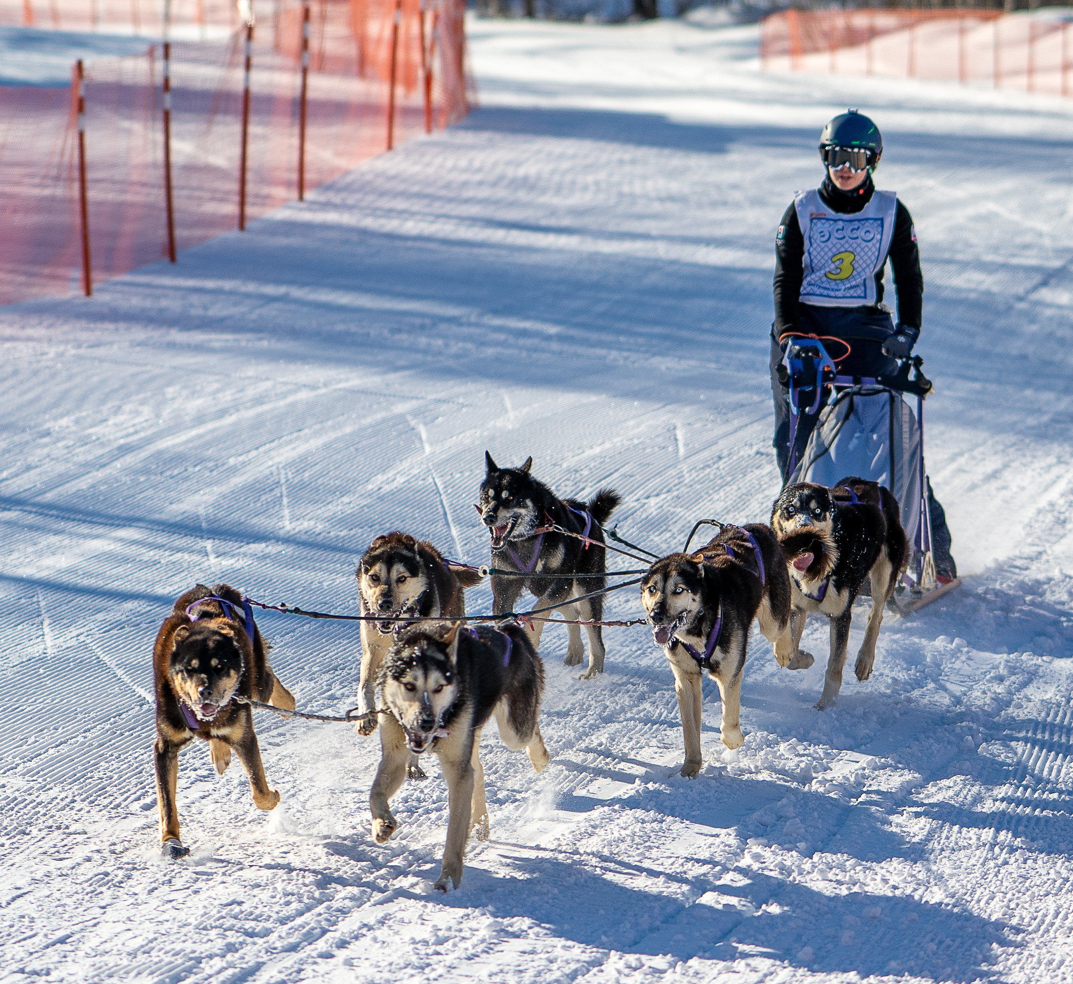 Гонки в эссо. Фотограф Ворошилов Дмитрий. Эссо. Камчатка