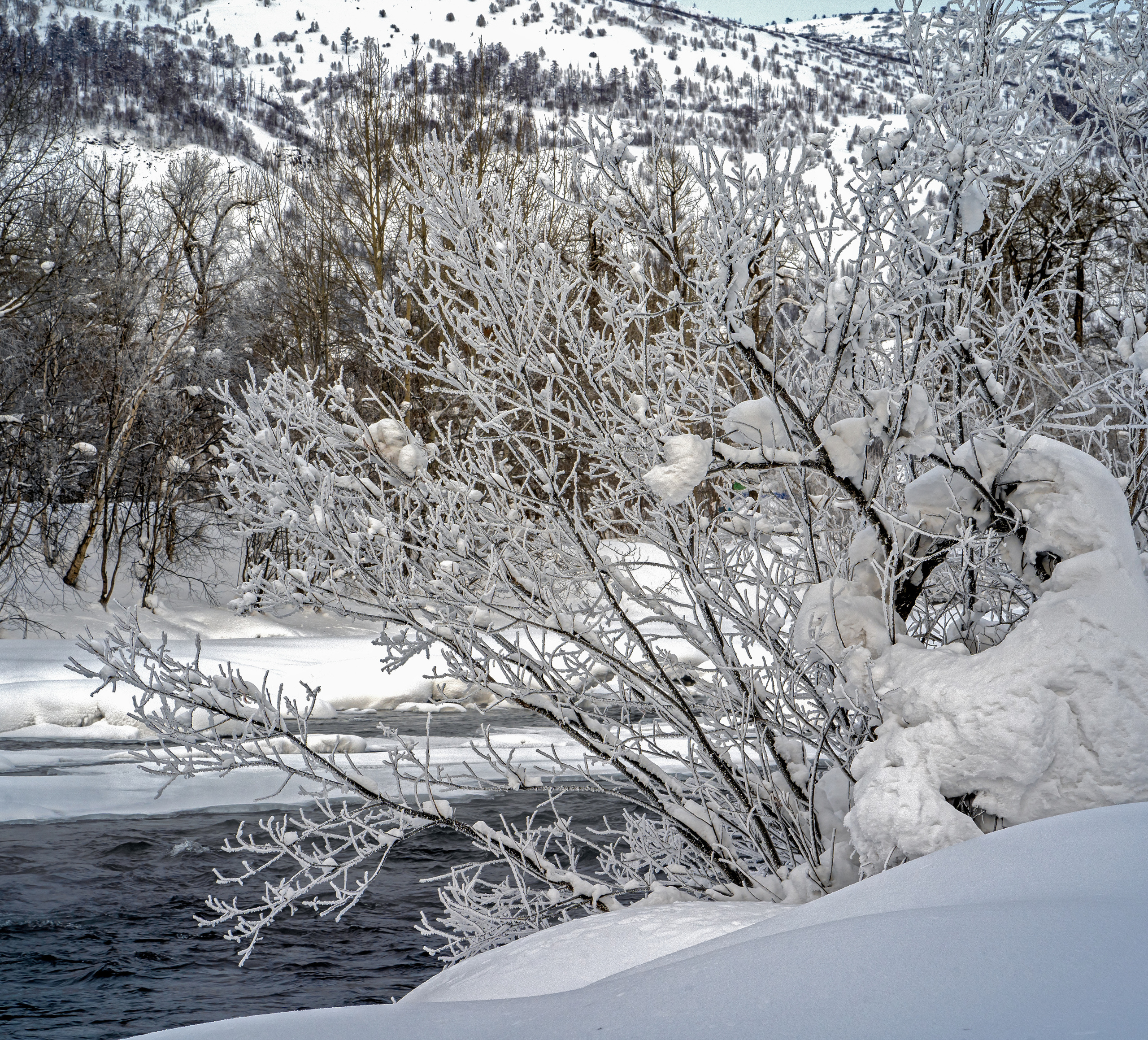 Эссо фото. Фотограф Ворошилов Дмитрий. Эссо. Камчатка