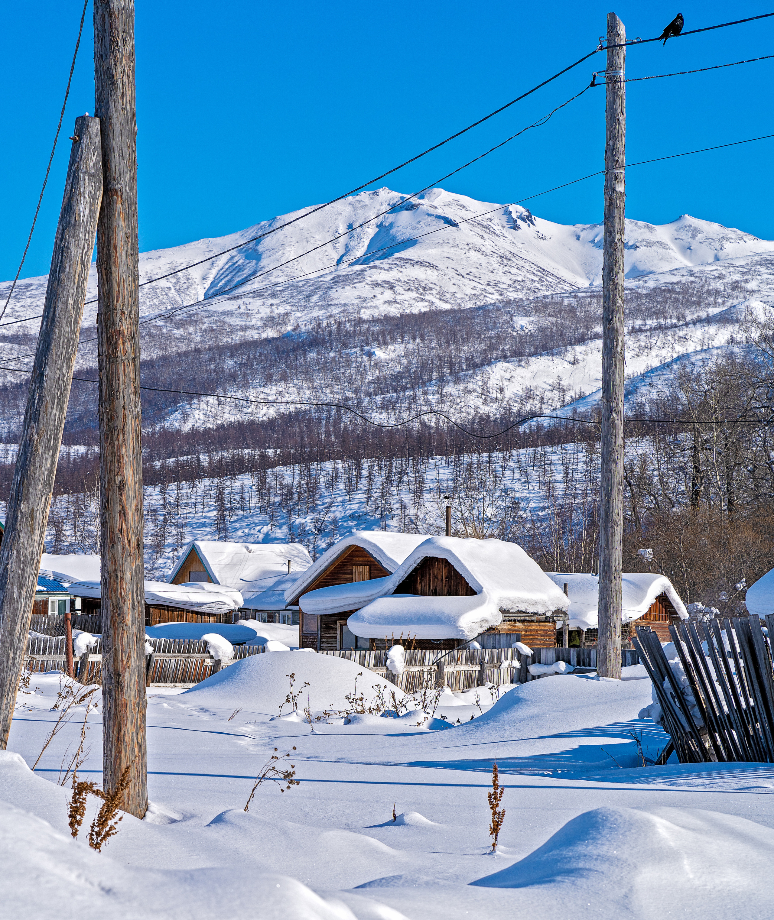 Эссо фото. Фотограф Ворошилов Дмитрий. Эссо. Камчатка