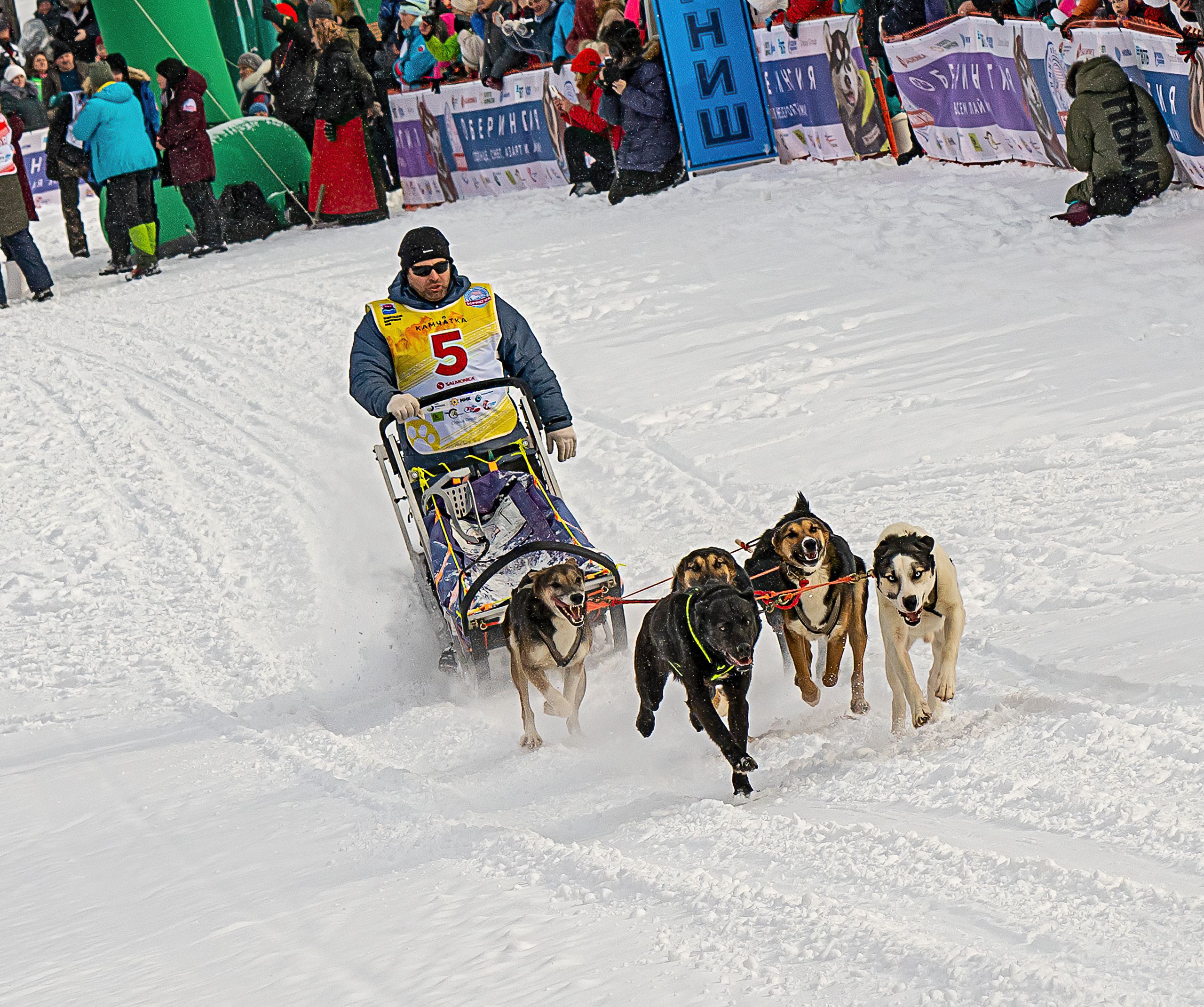Эссо фото. Фотограф Ворошилов Дмитрий. Эссо. Камчатка