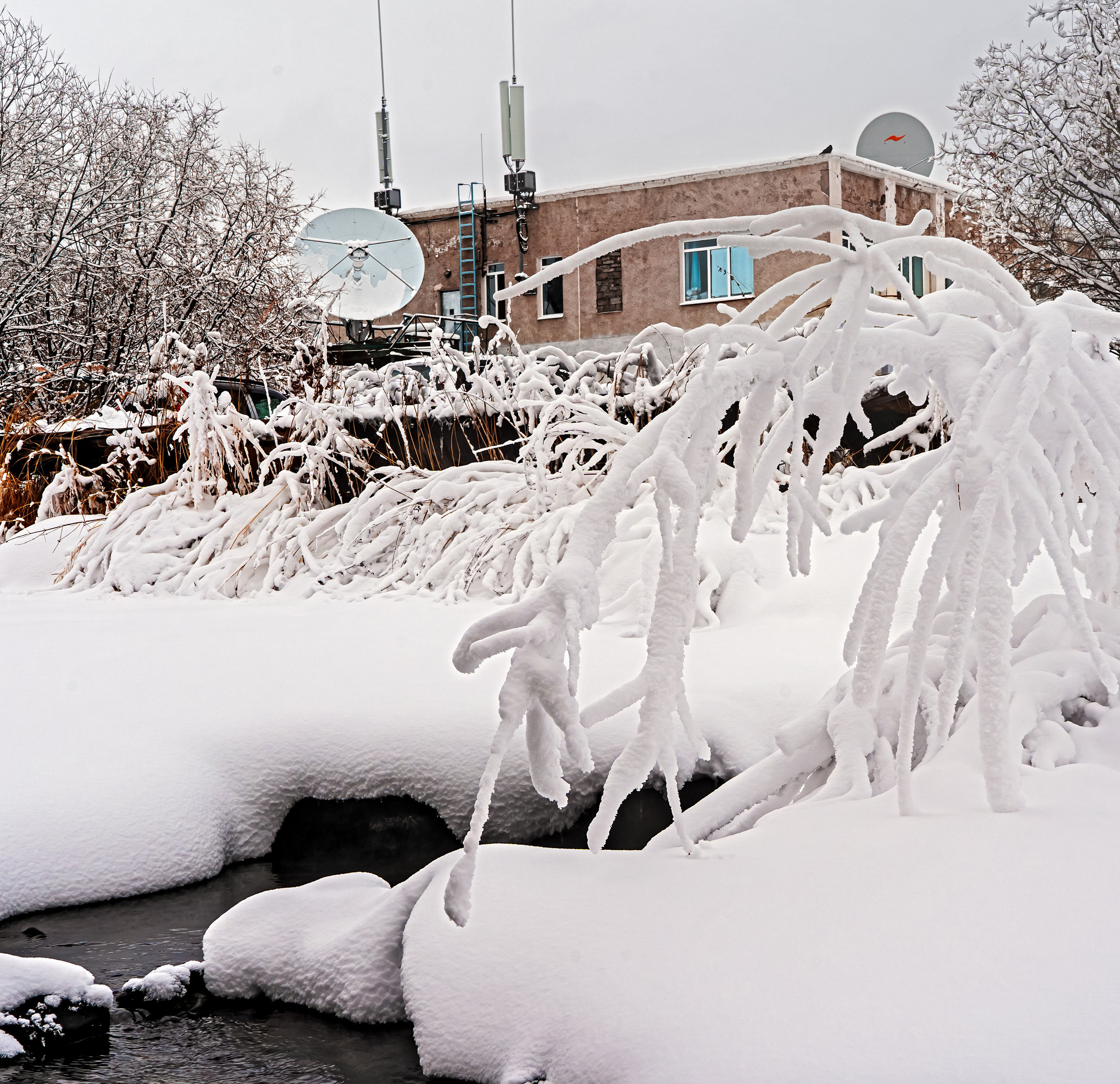 Эссо фото. Фотограф Ворошилов Дмитрий. Эссо. Камчатка