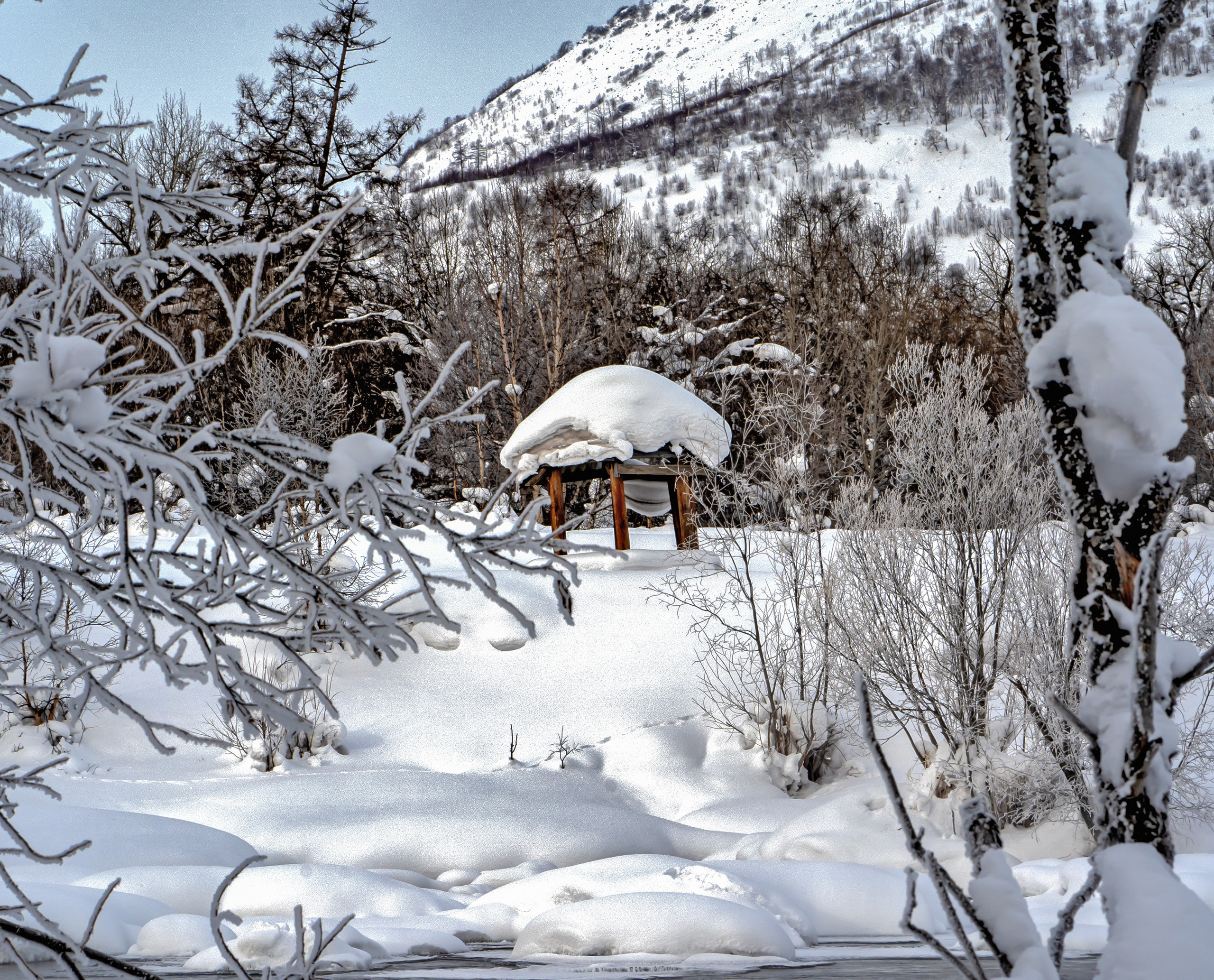 Эссо фото. Фотограф Ворошилов Дмитрий. Эссо. Камчатка