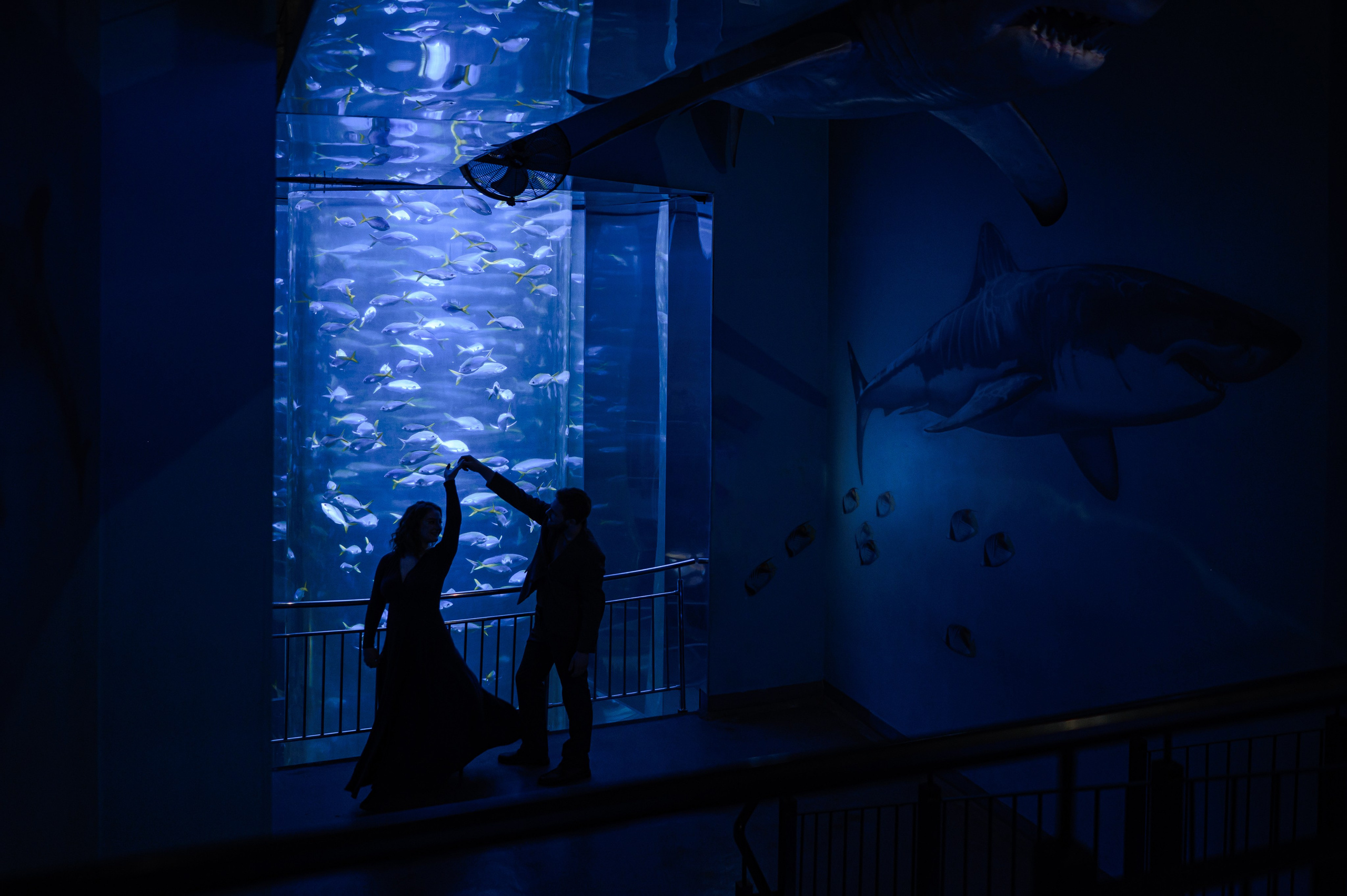 Фотосъемка беременности в Санкт-Петербурге. Семейный и свадебный фотограф в Санкт-Петербурге Серафима Смирнова