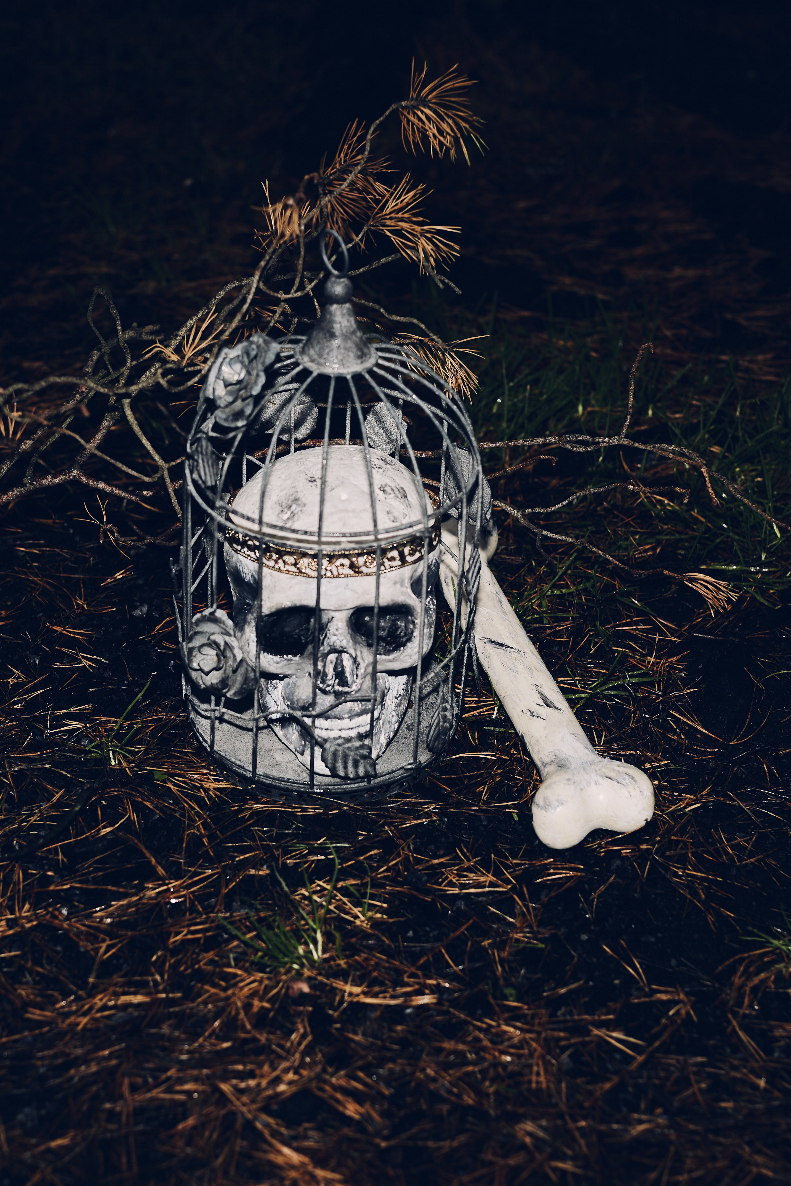 Предметная фотосъемка в Санкт-Петербурге. Фотограф I Санкт-Петербург