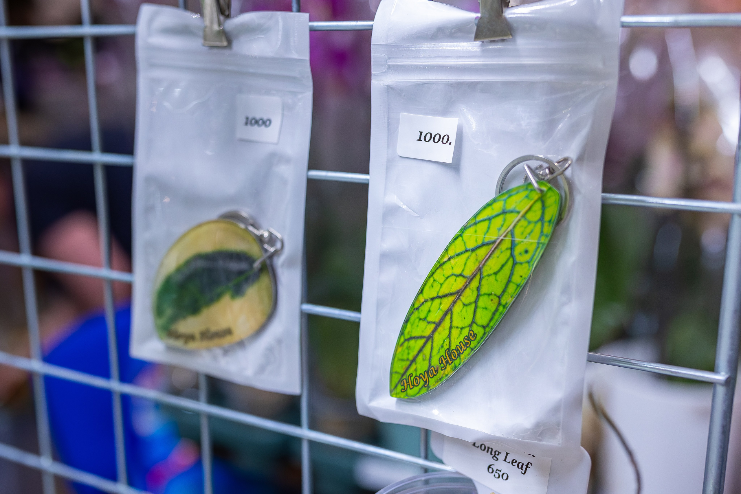 Орхидиум 12.2025. Александра Куликова фотограф, Москва