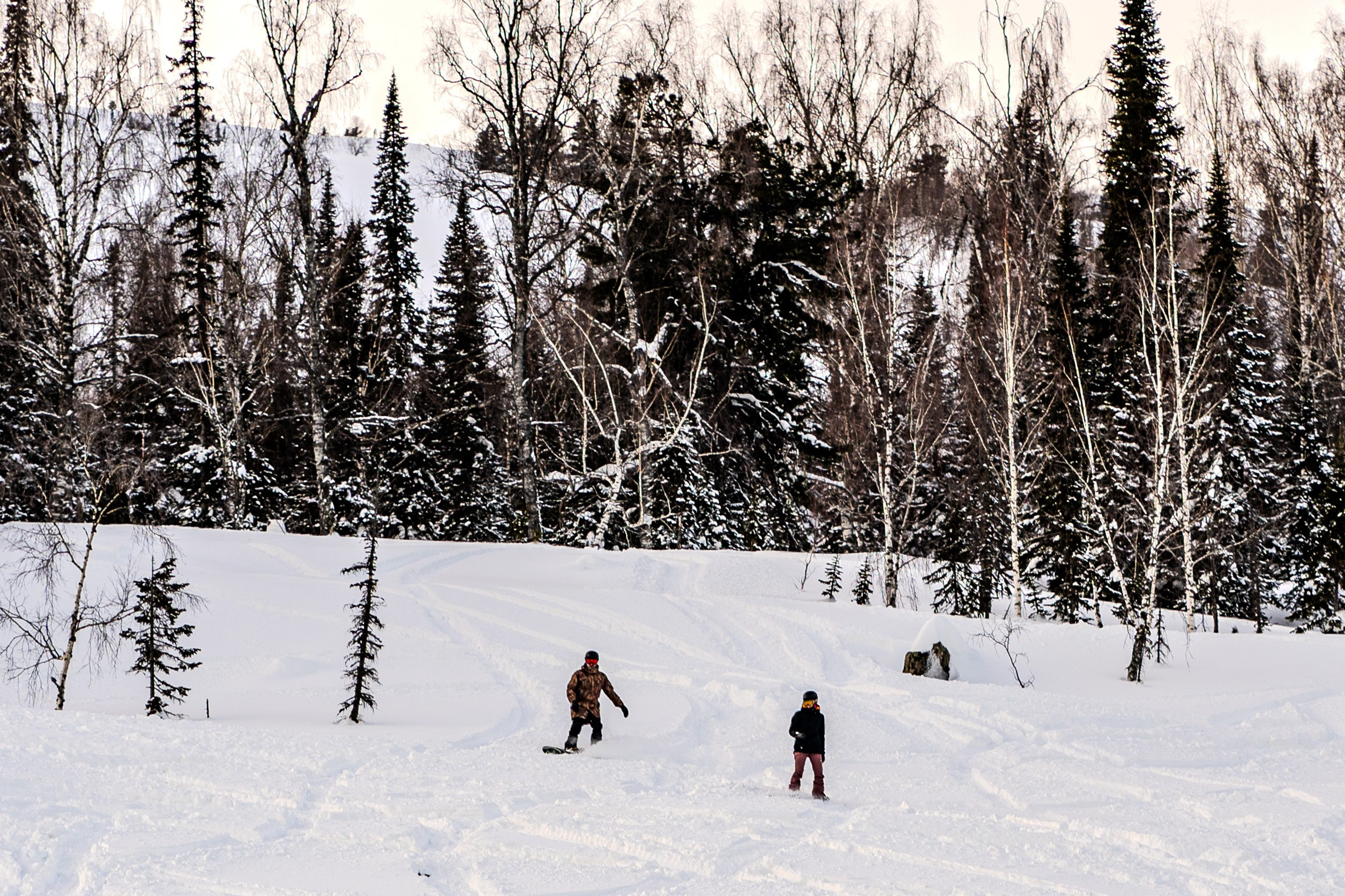 Mountain Patrol. Анастасия Паршукова — фотограф Шерегеш Новосибирск