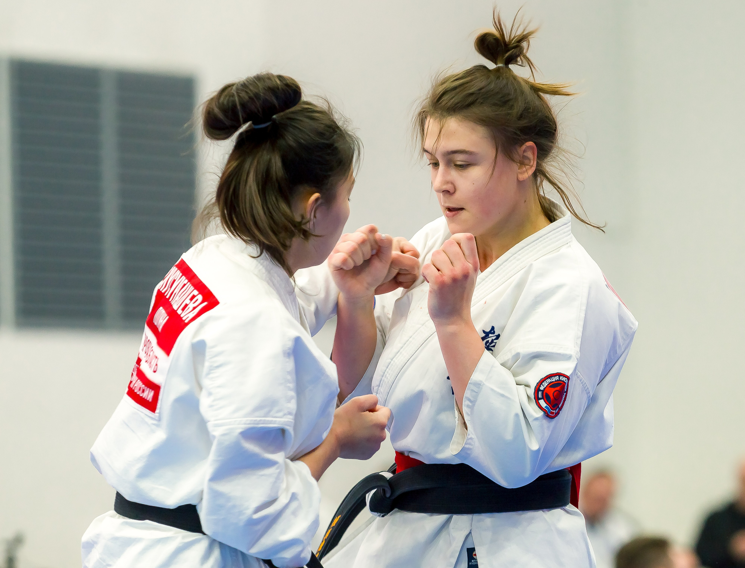 Соревнования по Киокушин памяти С. Увицкого. Репортажная съемка в Москве и области. Анималистика