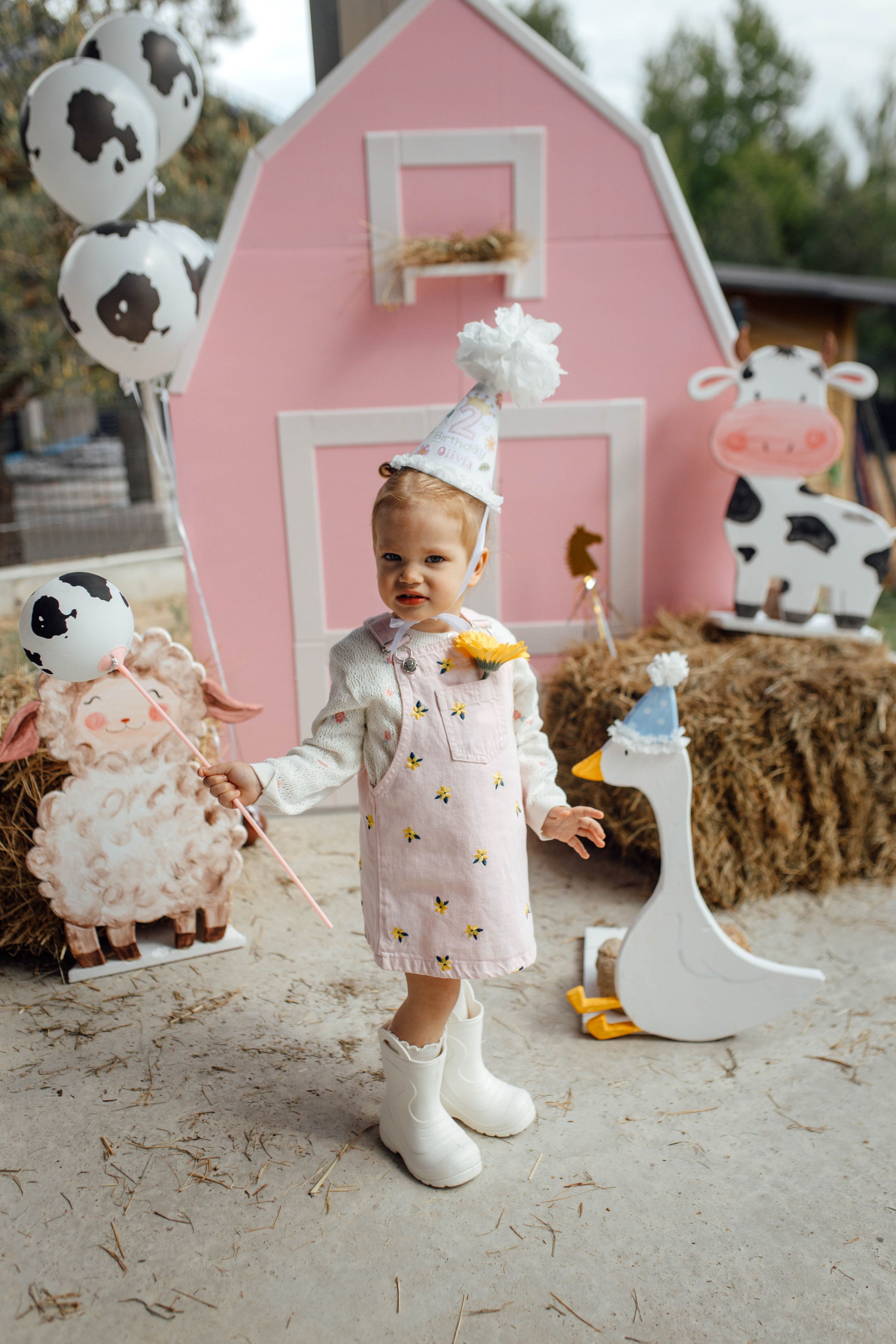 Репортаж дома, др