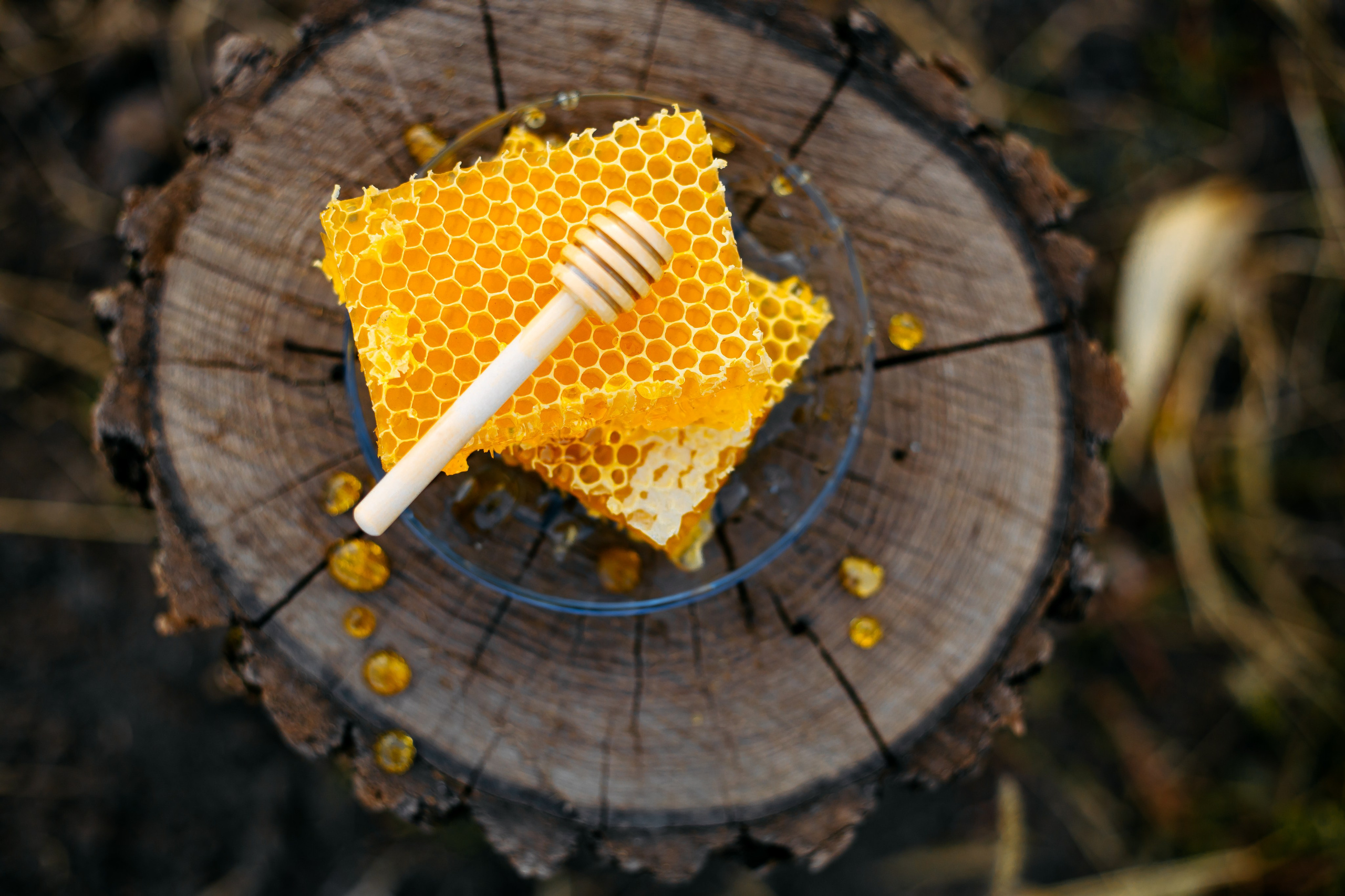 Контент фотосессия для частной пасеки. Свадебный и семейный фотограф в Краснодарском крае Мария Данилкина