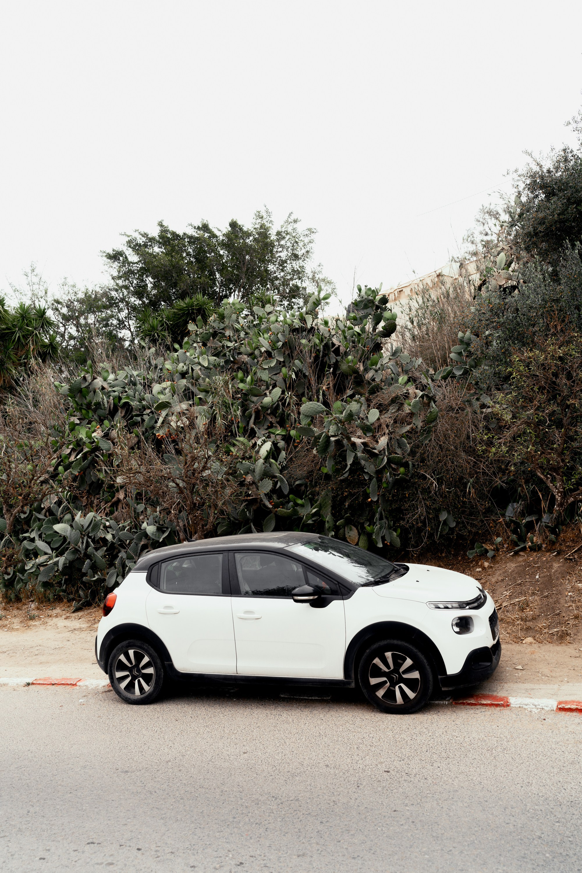 Северная Африка: Тунис, Марокко. Фотограф в Хабаровске. Фотография за 24 часа