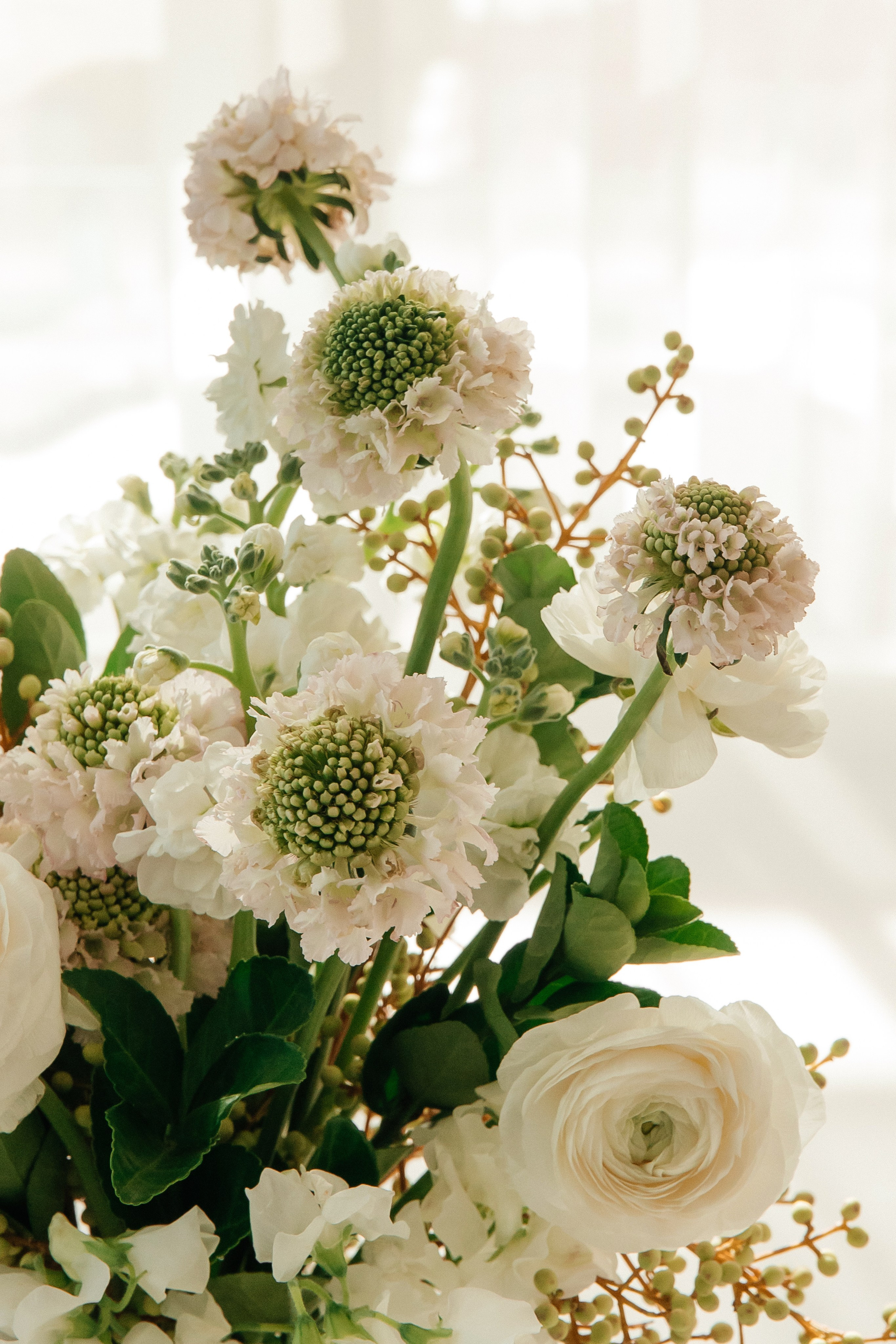 ANONS. Мария — Свадебный фотограф