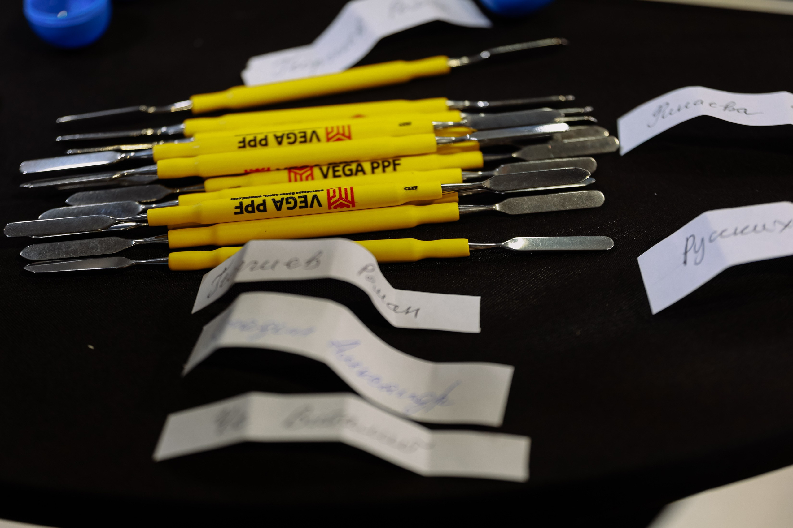 Семинар от VEGA. Фотограф Юлия Мальцева