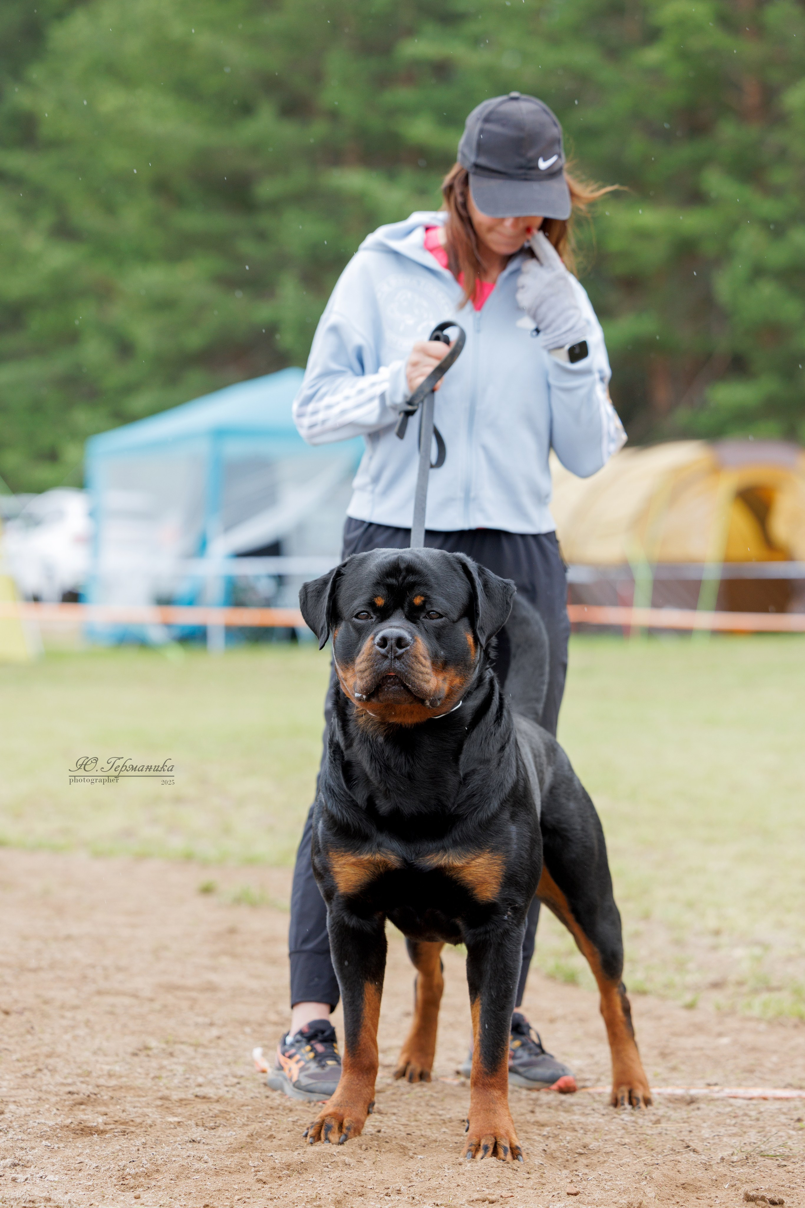 Тверь ротвейлеры 5-6.07.2025. Фотограф-анималист Юлия Германика