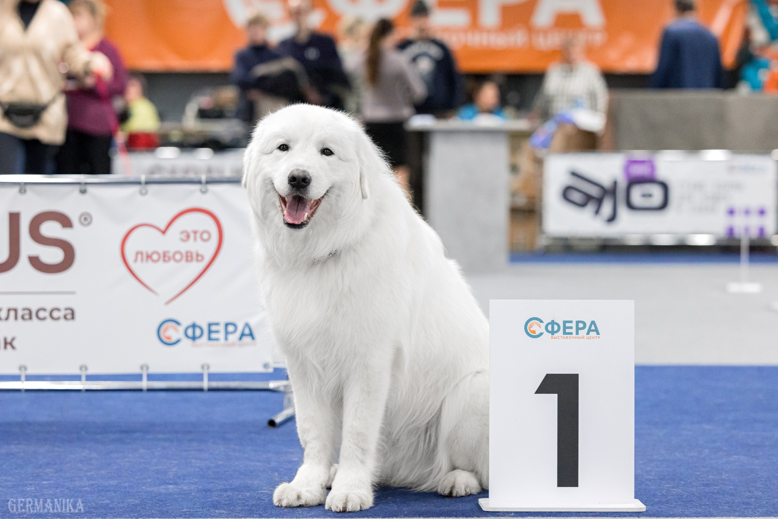 Сфера 28.01. и 4.02.2024. Фотограф-анималист Юлия Германика