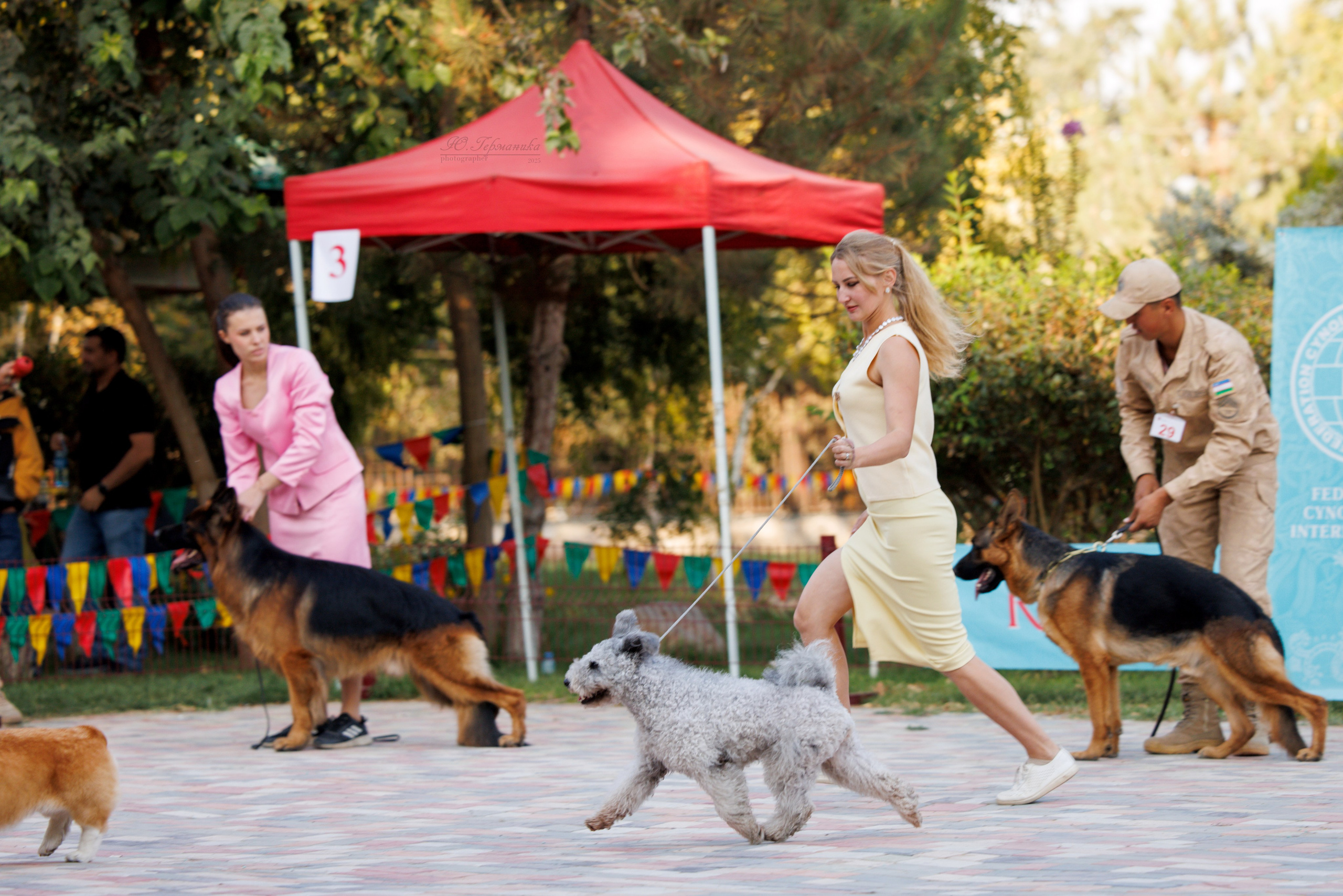 Ташкент 3хCACIB 3-5.10.2025. Фотограф-анималист Юлия Германика