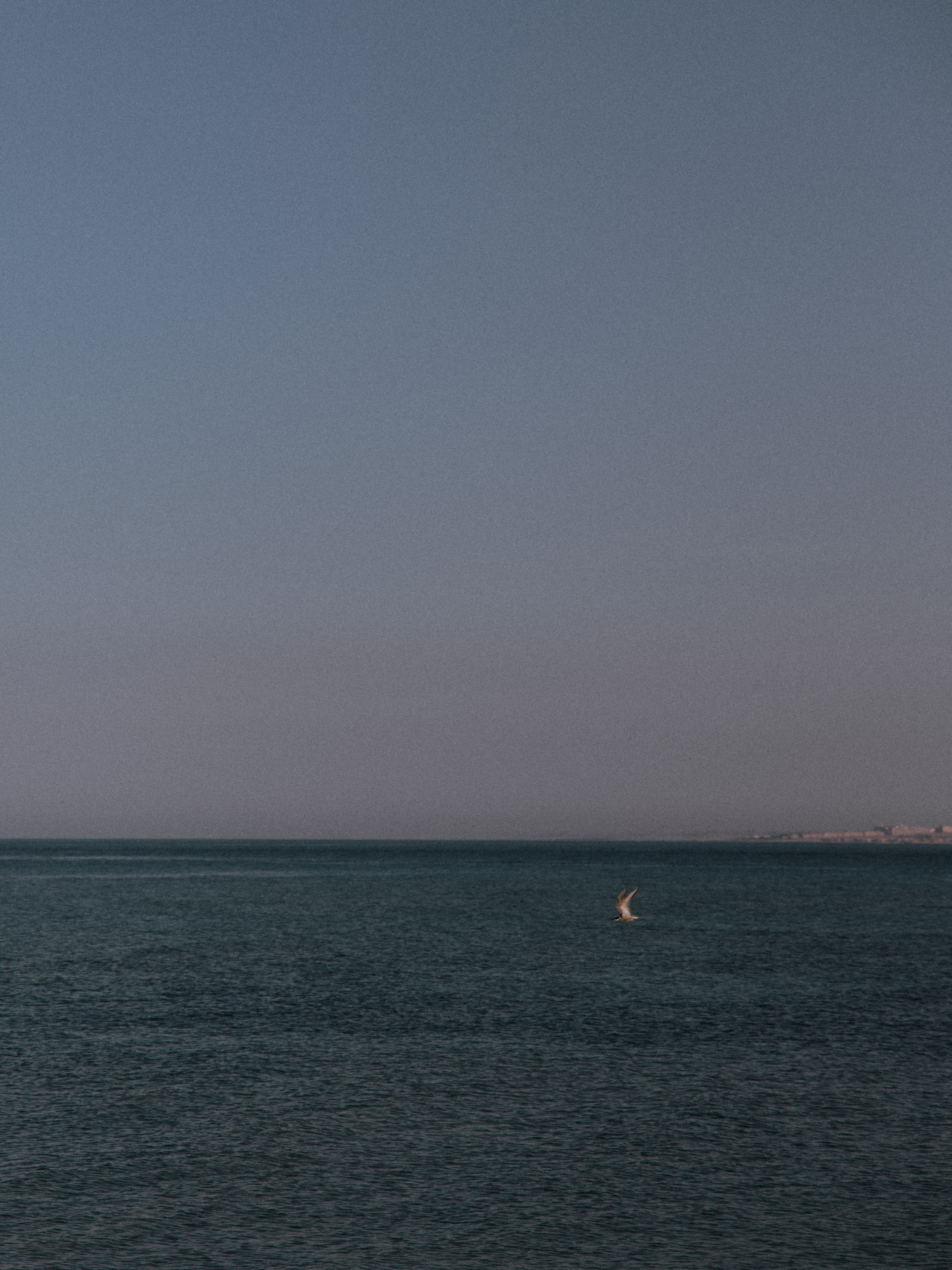 Природа. Jorgis Talè — photographer, kind person, teacher of arts and other mag