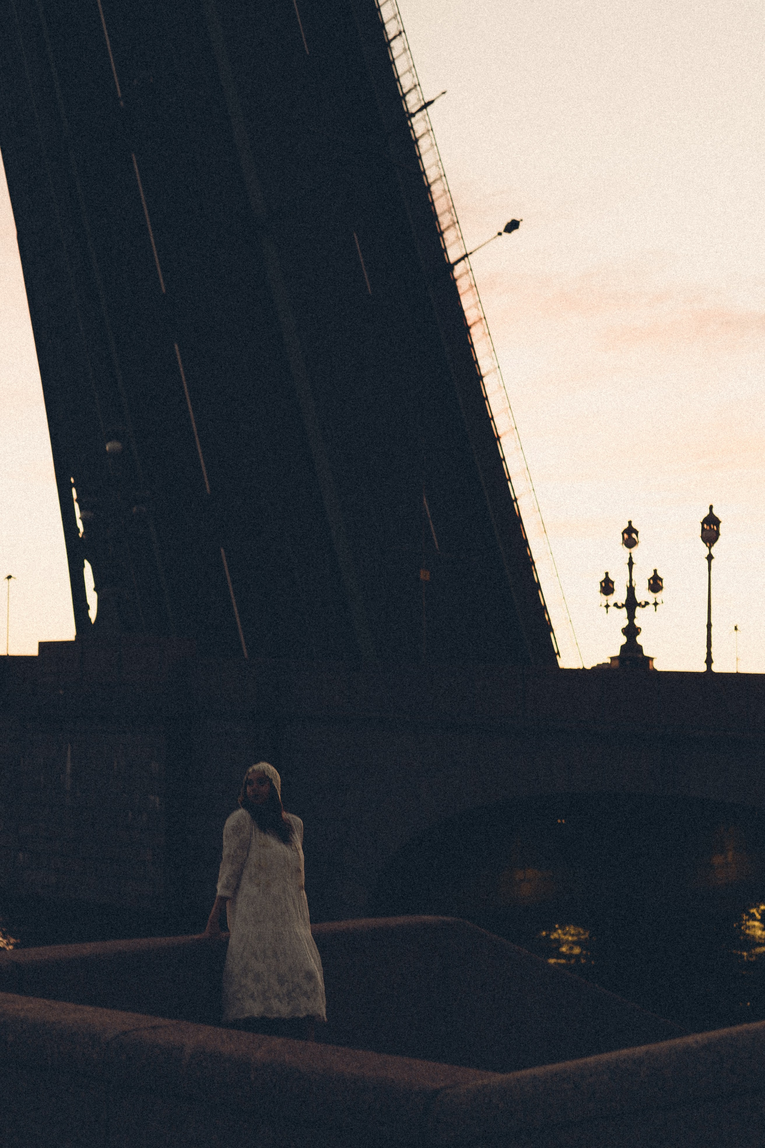 РАССВЕТ С РАЗВОДНЫМИ МОСТАМИ. Профессиональный фотограф, Санкт-Петербург — Виктория Богомолова