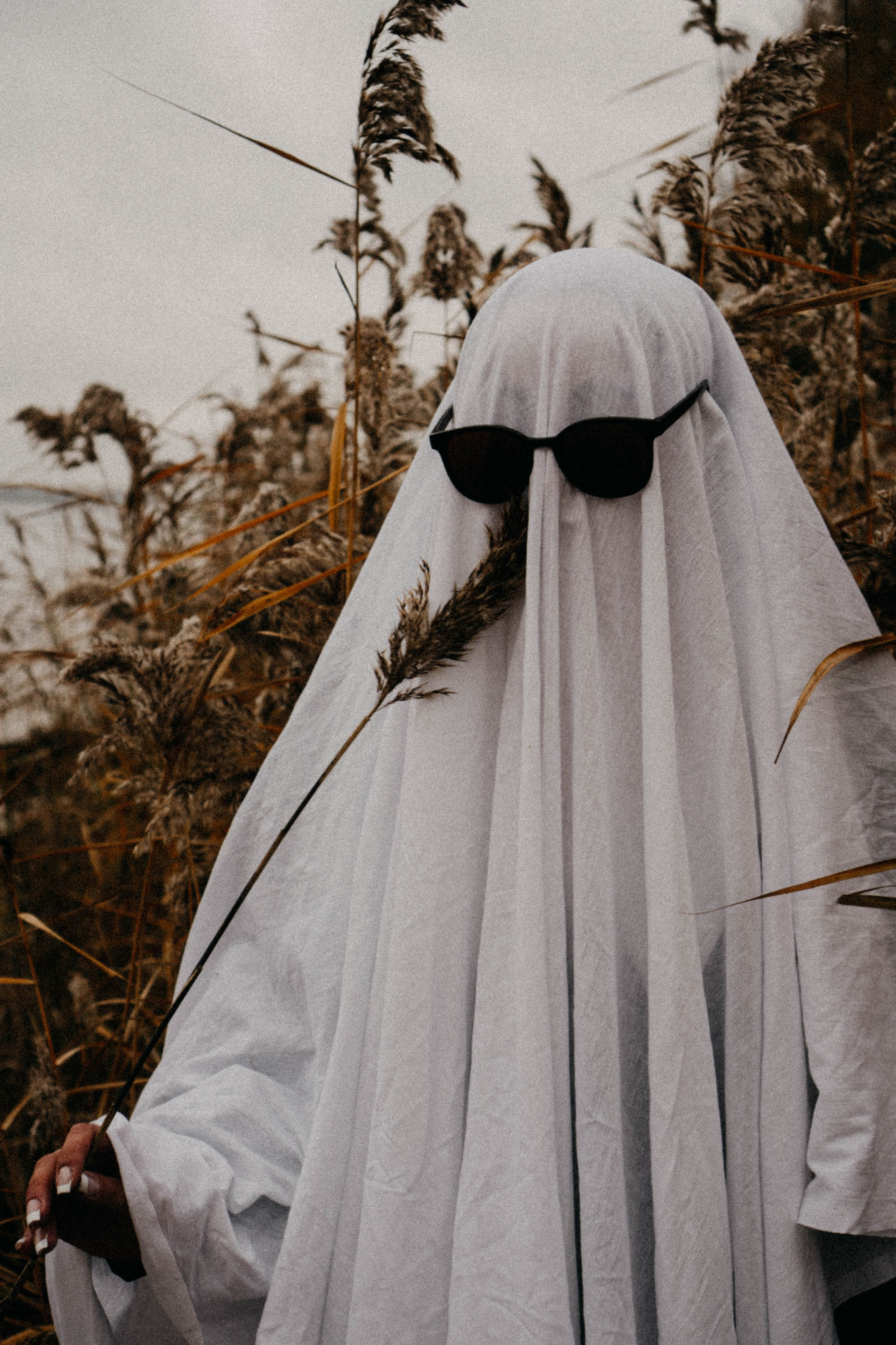 Осеняя. Профессиональный фотограф, Санкт-Петербург — Виктория Богомолова