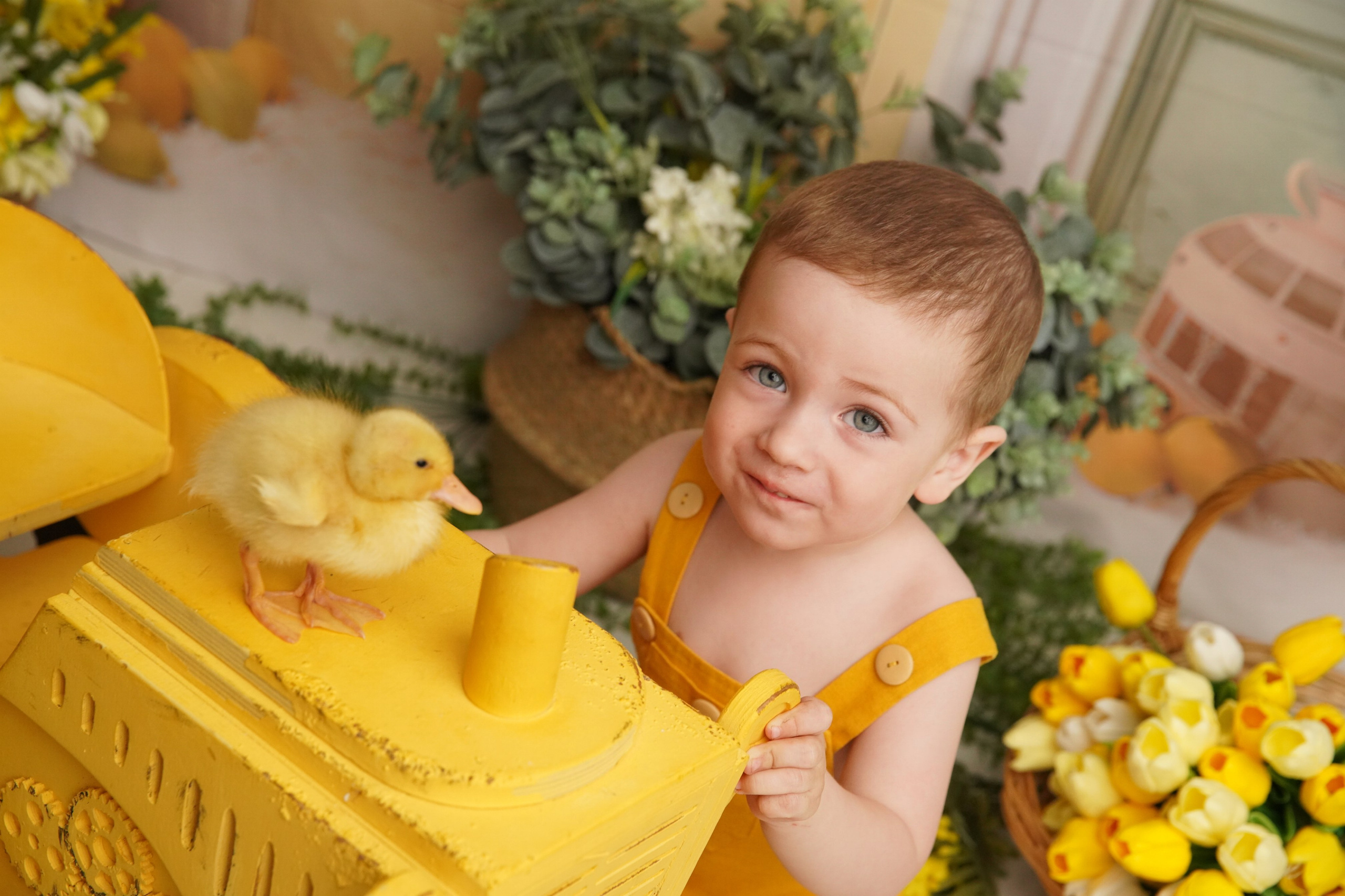 Утята. Фотограф новорожденных. Семейный и детский фотограф в городе Сургуте