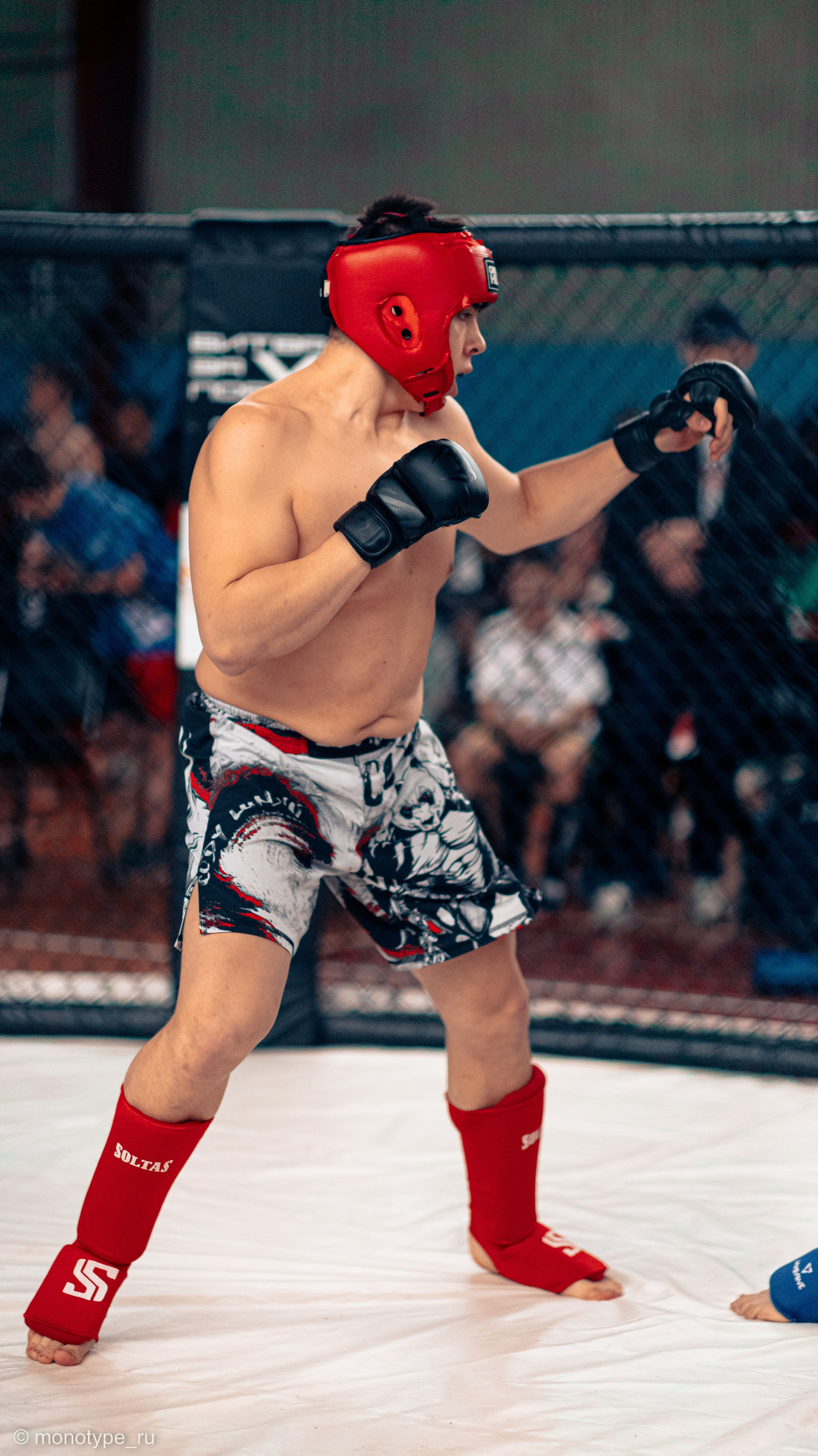 MMA. Бойцовский турнир