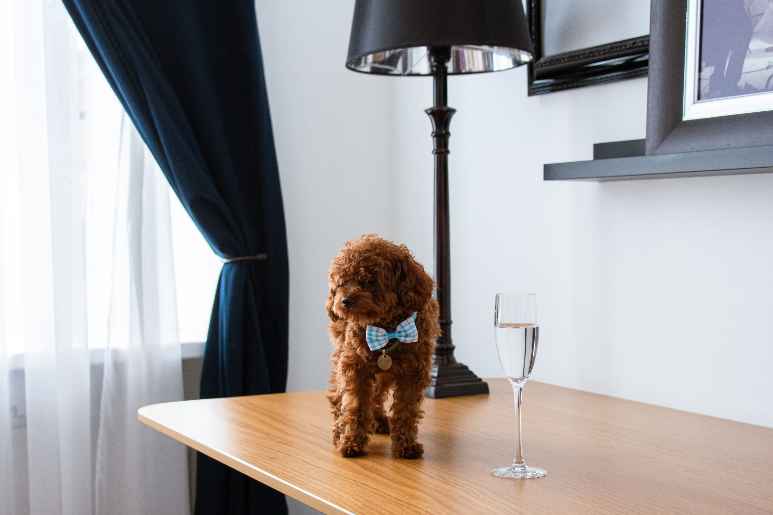 Девичник в Императорском стиле. Фотограф в Санкт-Петербурге Ксения Яковчук