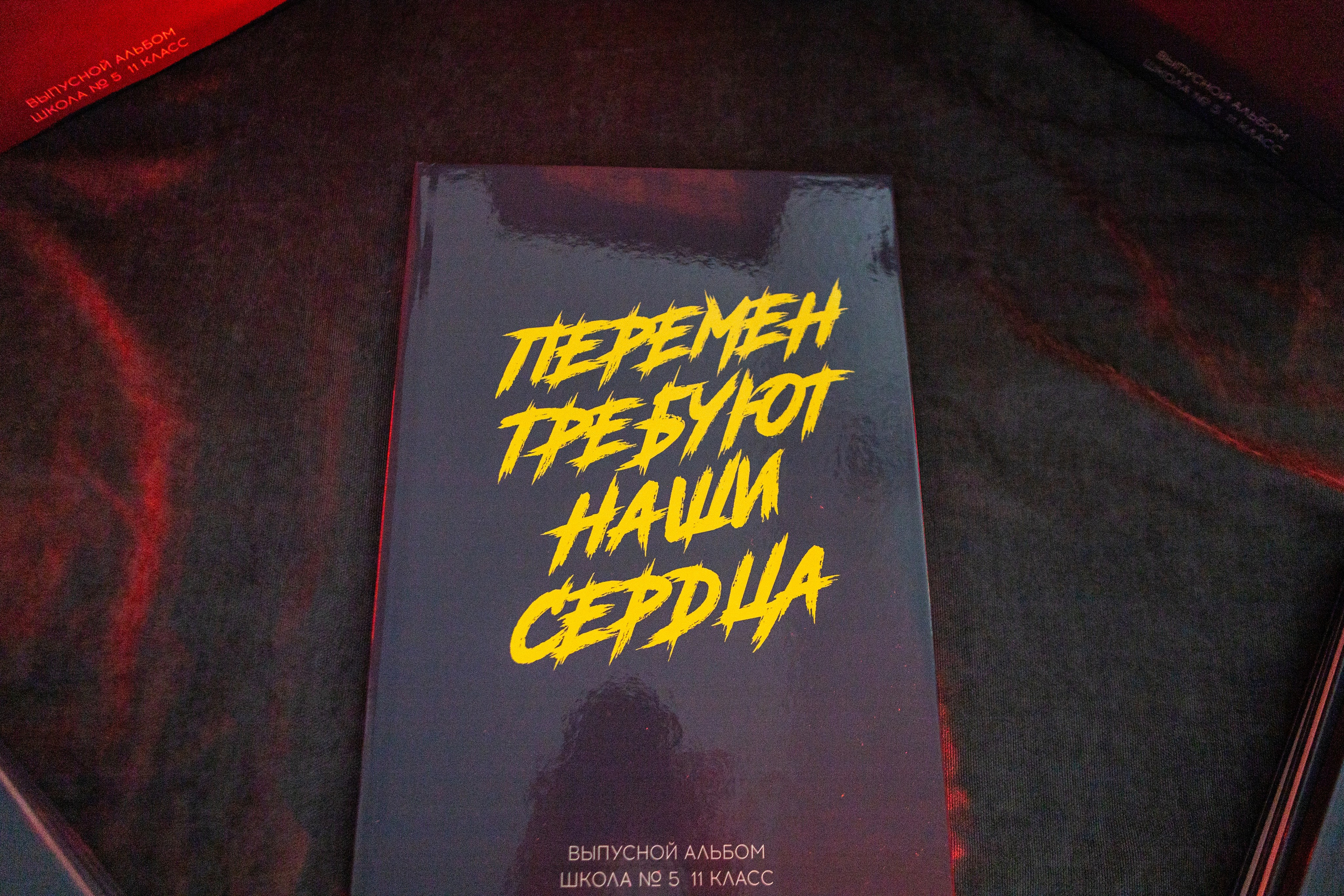 Старшая школа (9-11 класс). Фотограф Федорова Ирина Кимры Дубна Талдом