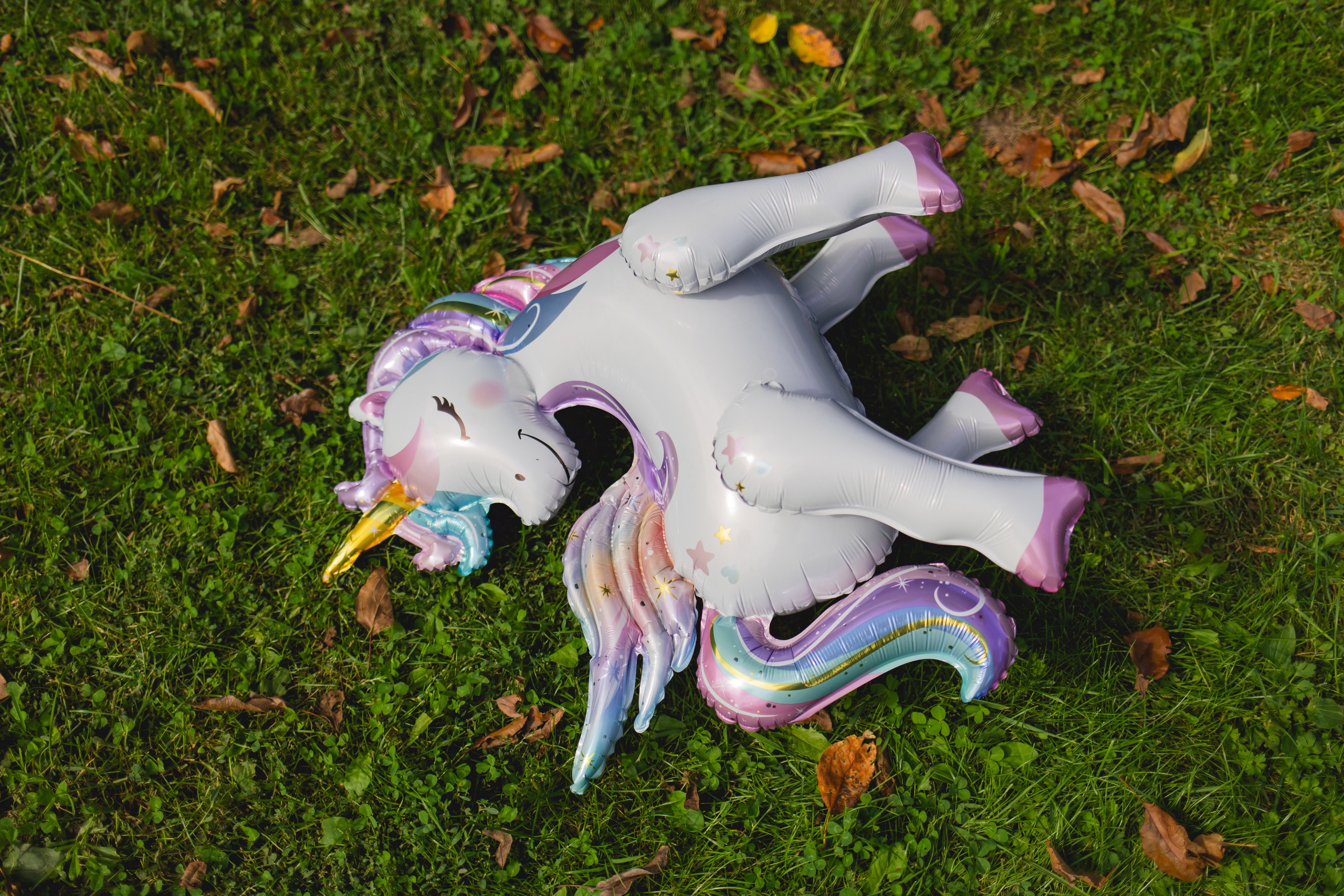 День Рождения Элизабет 🎂