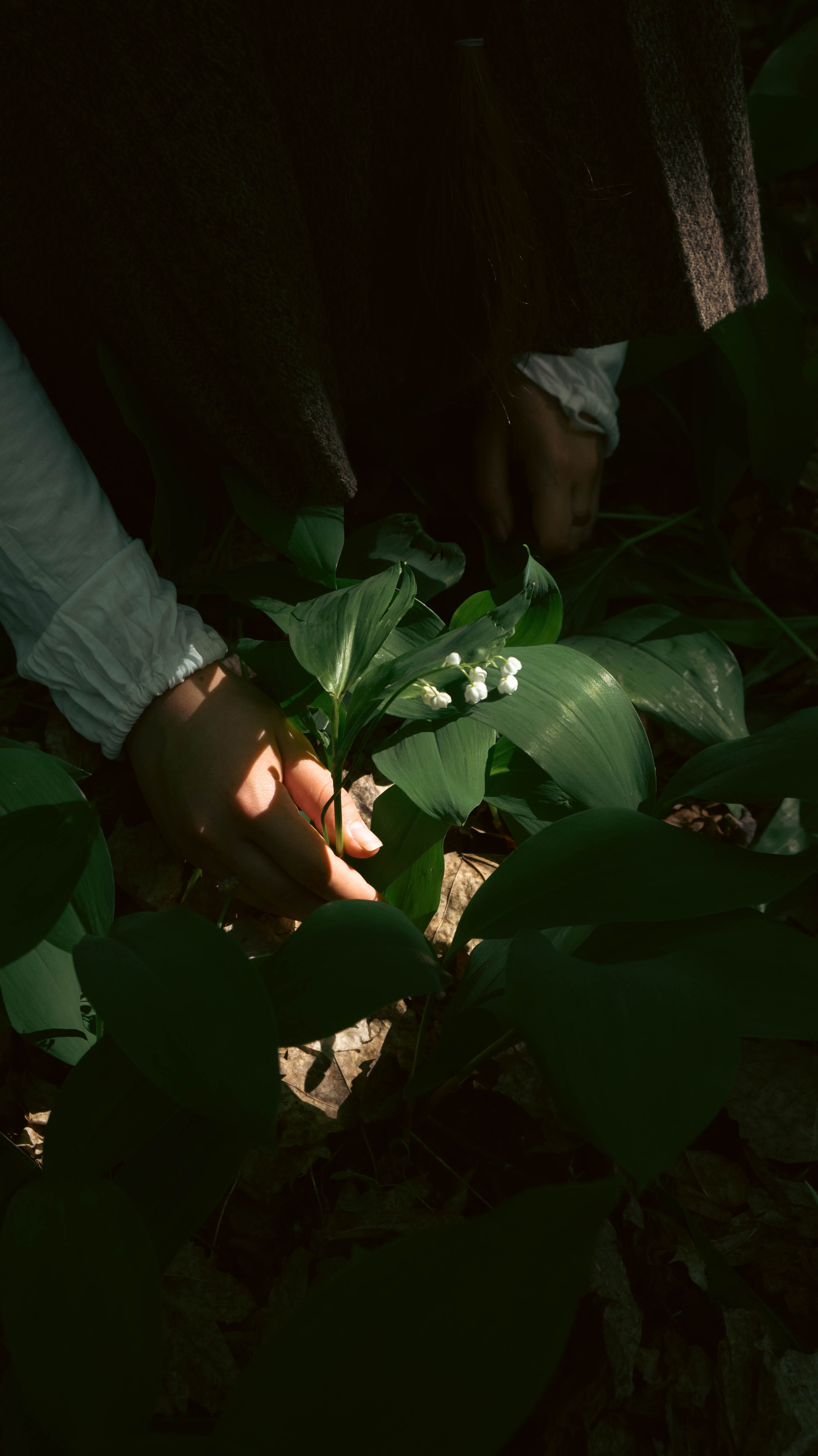 Фотосессия по мотивам сказки Гензель и Грэтель. ФОТОГРАФ САРАТОВ