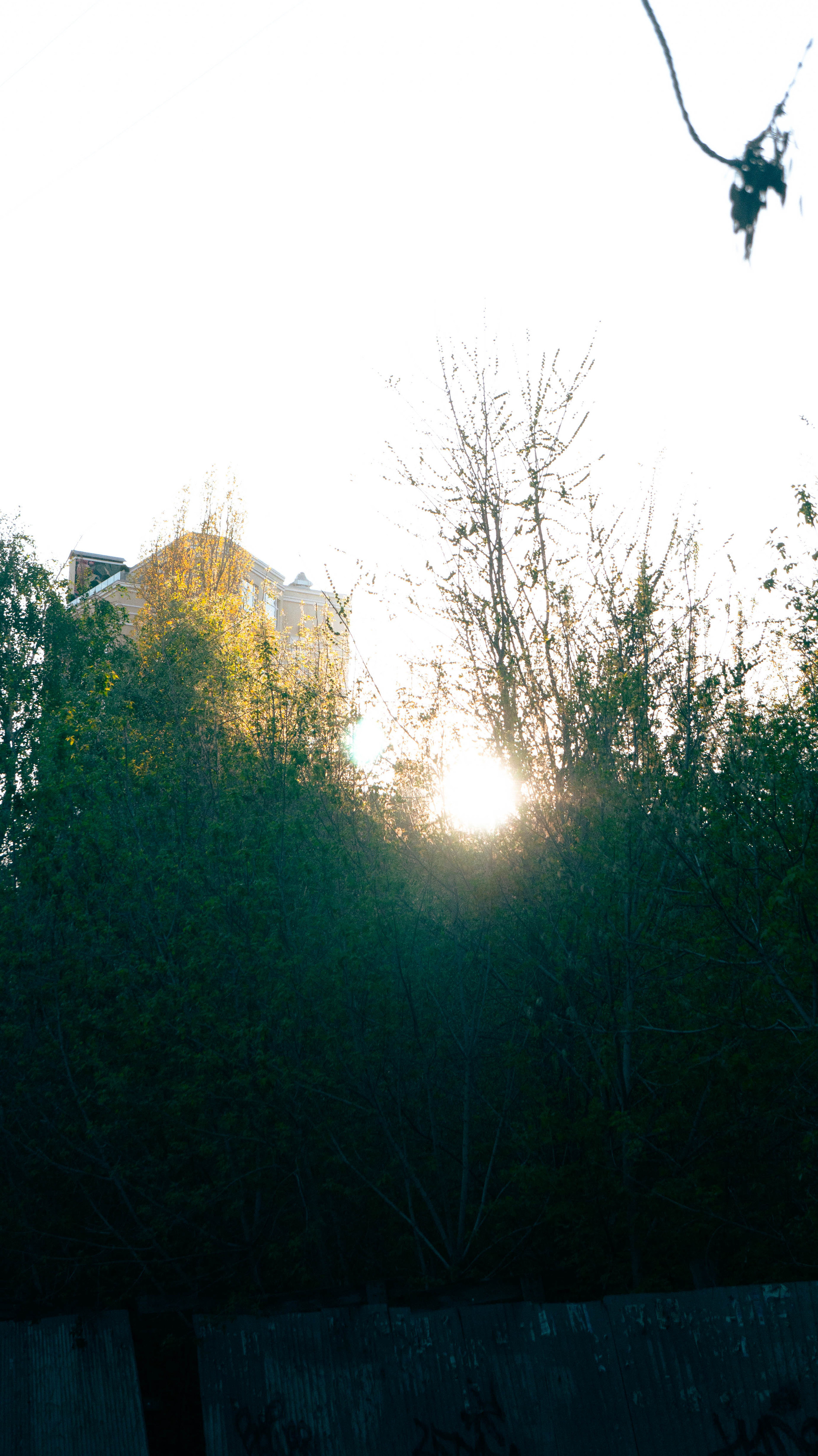 Фотосессия Оли. ФОТОГРАФ САРАТОВ