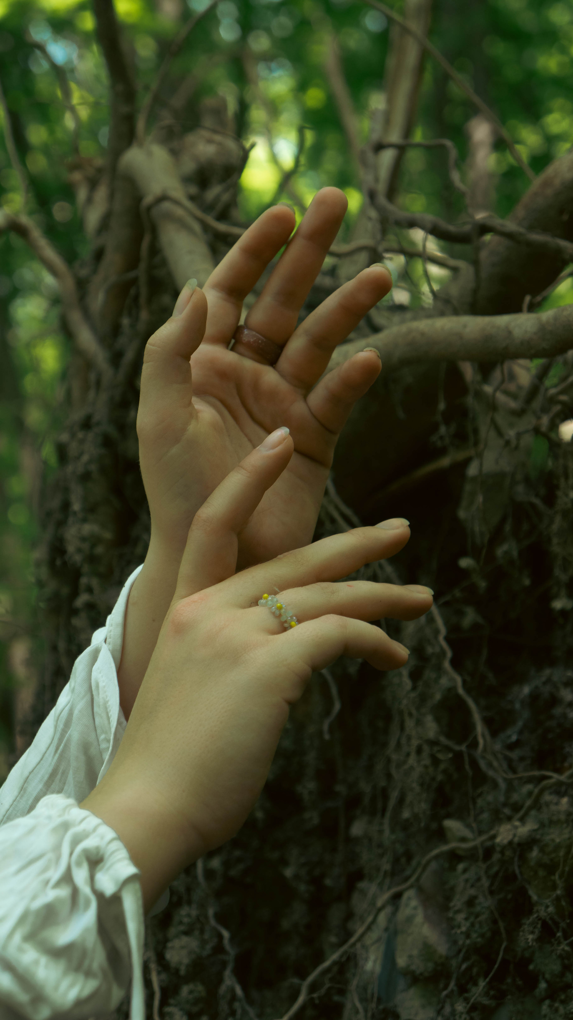 Photos based on famous fairy tales. PHOTOGRAPHER SARATOV