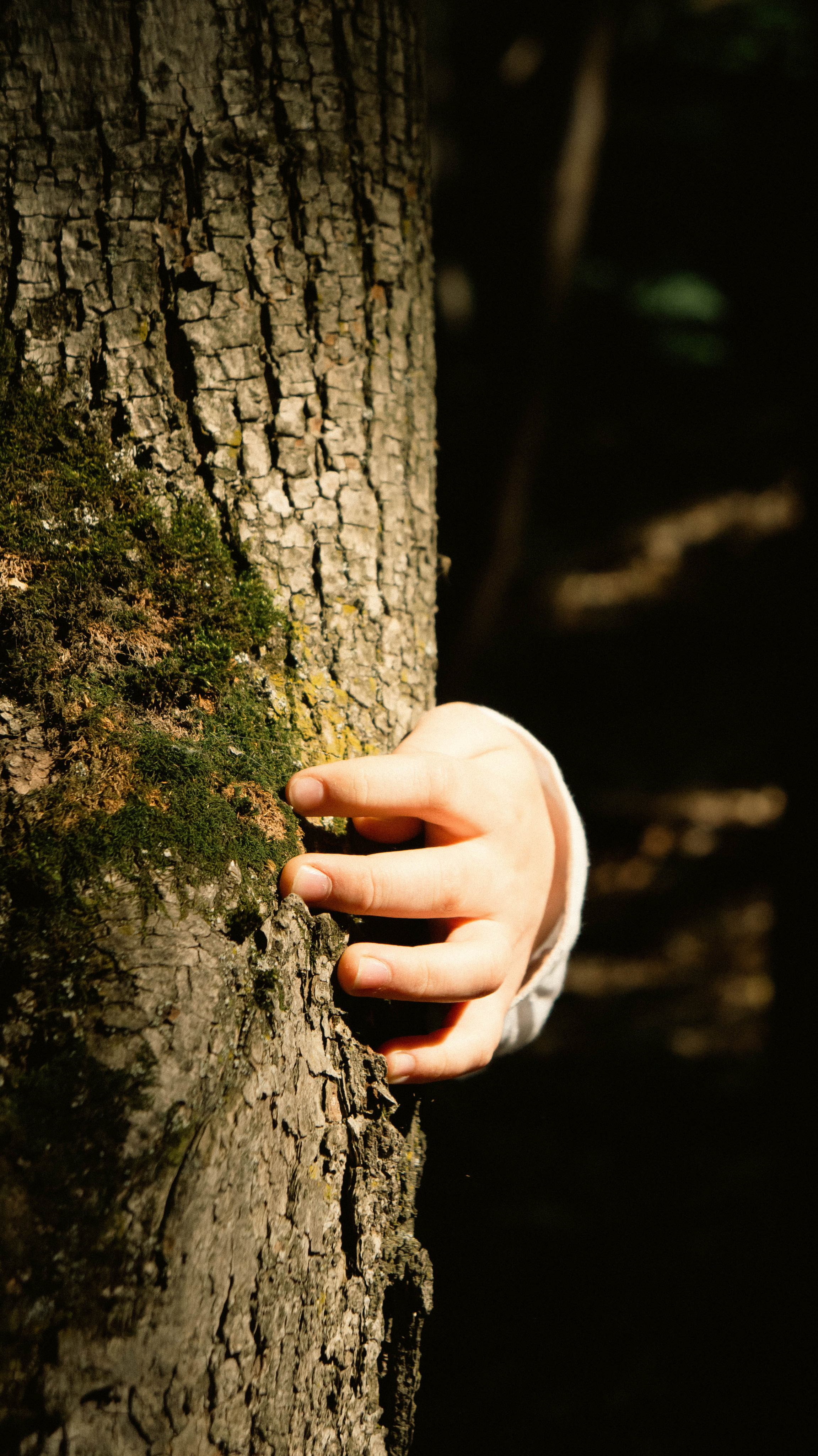 Фотосессия по мотивам сказки Гензель и Грэтель. ФОТОГРАФ САРАТОВ
