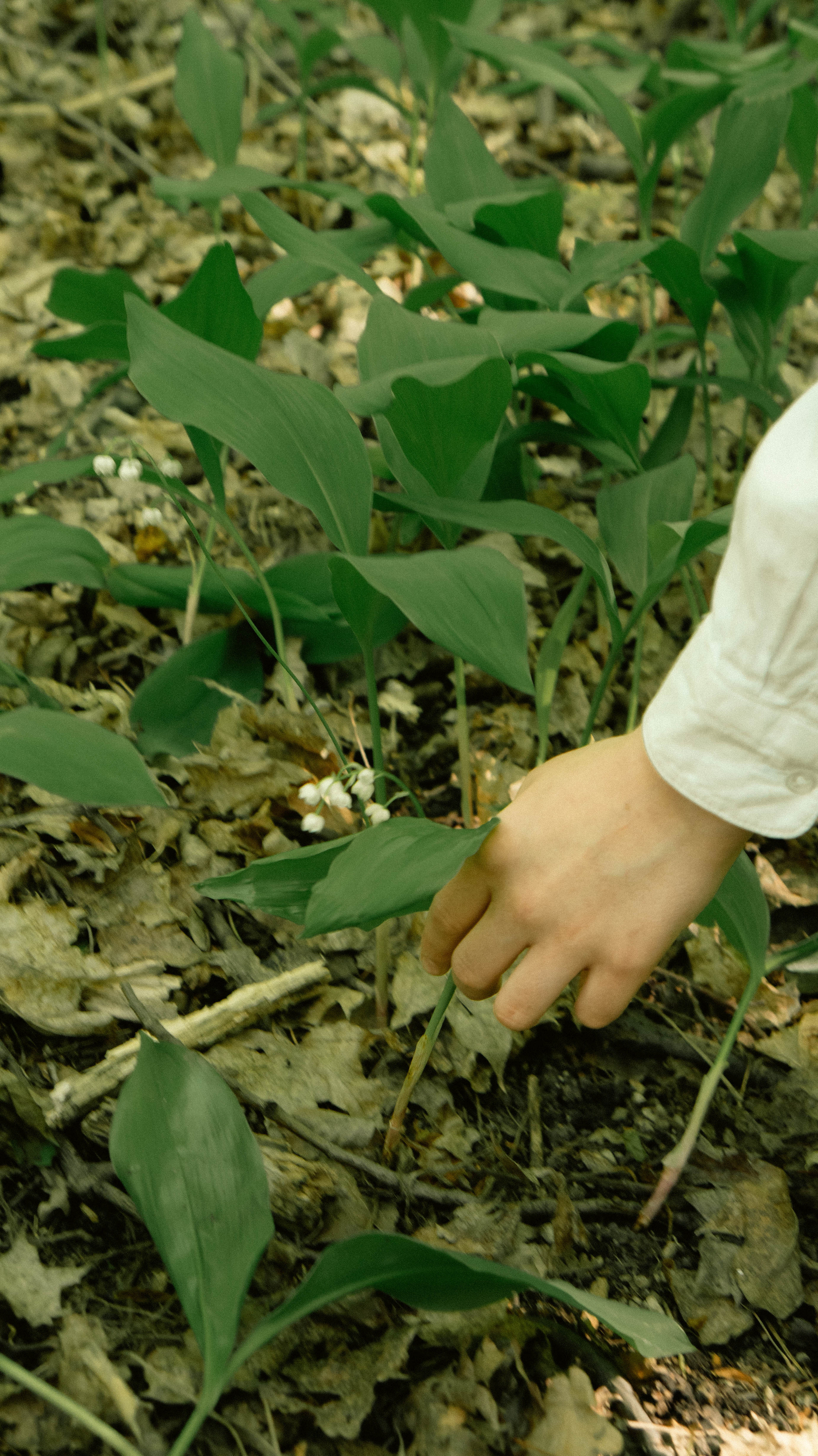 Photos based on famous fairy tales. PHOTOGRAPHER SARATOV