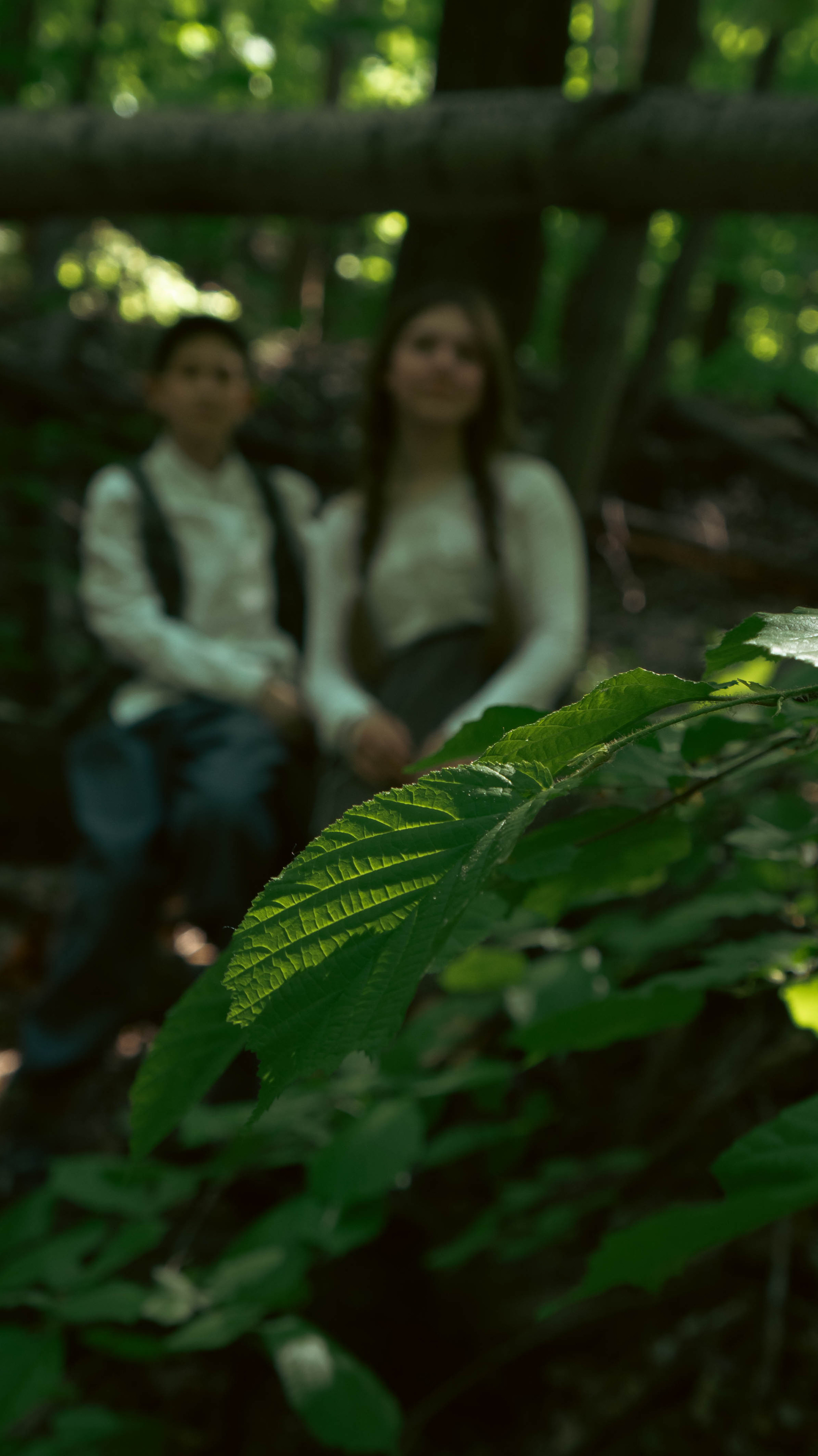 Photos based on famous fairy tales. PHOTOGRAPHER SARATOV