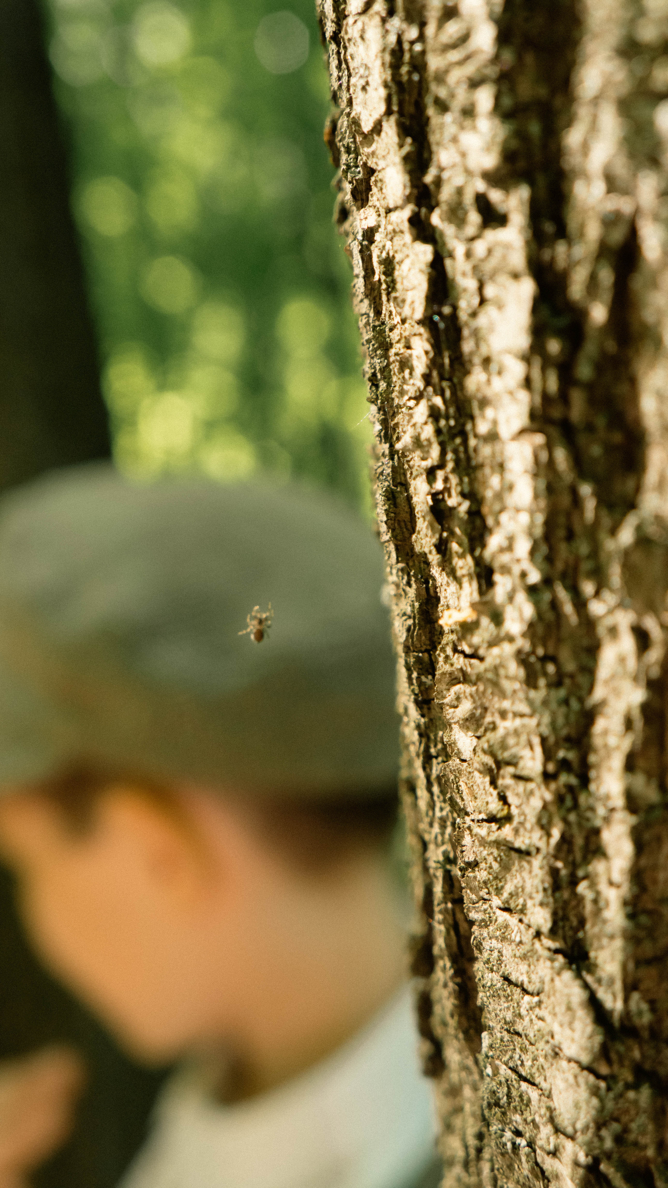 Фотосессия по мотивам сказки Гензель и Грэтель. ФОТОГРАФ САРАТОВ