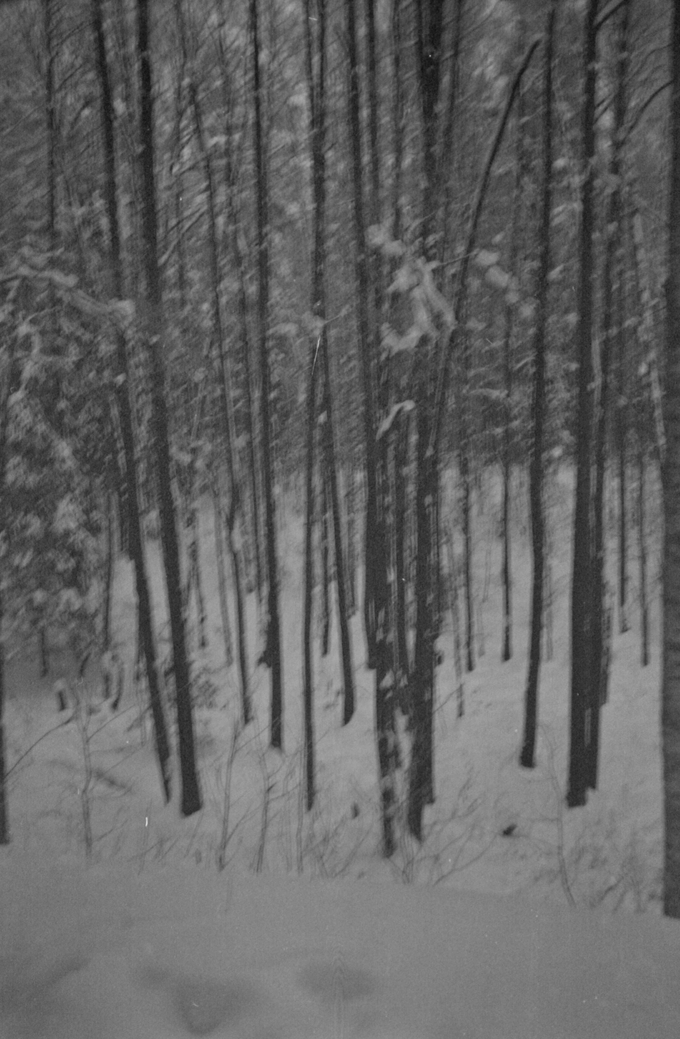 Татьяна Белякова — Фотохудожник | Концептуальная аналоговая фотография