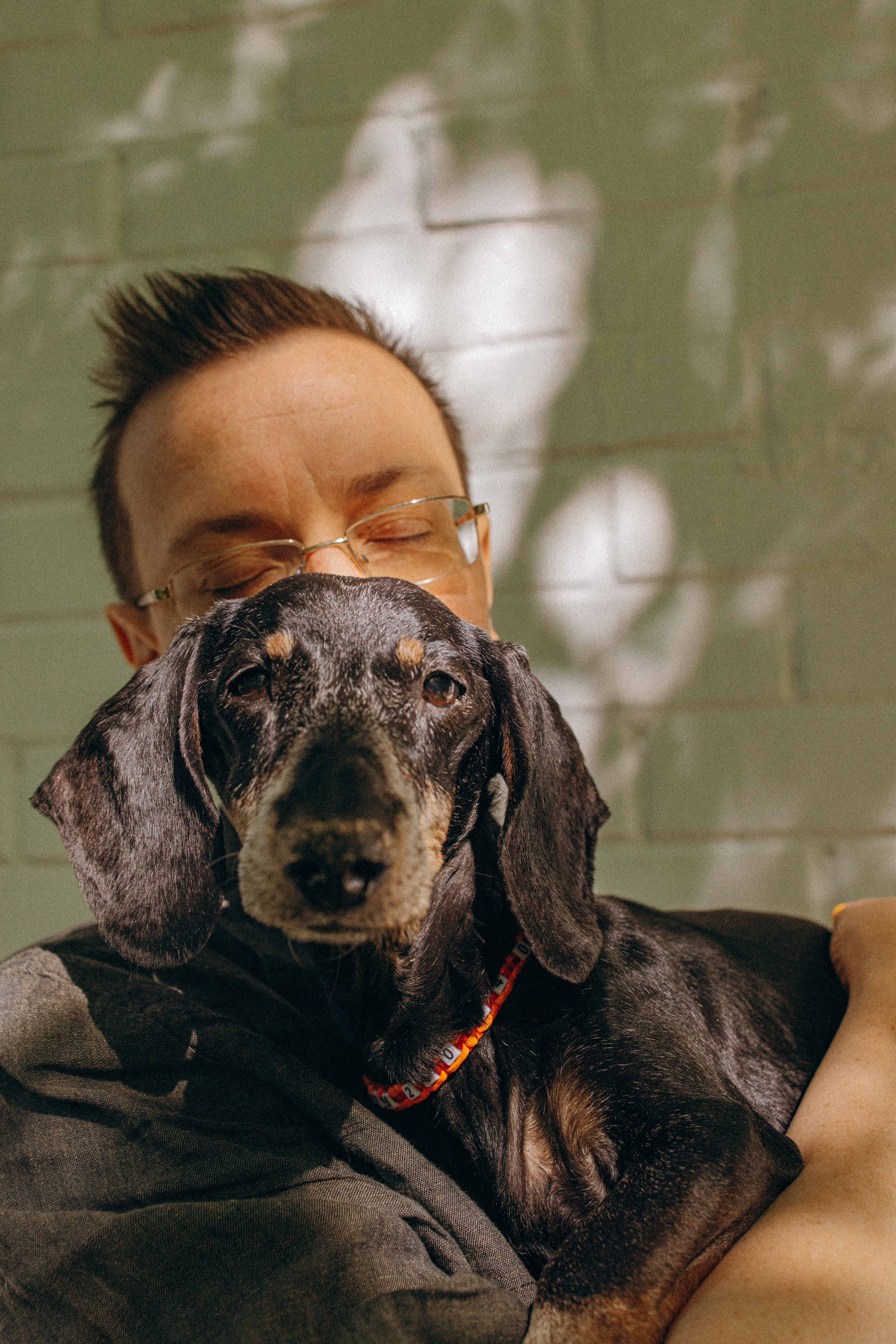 Наталья, Марфа и Норд. Фотограф-анималист в Москве Лера Черноног