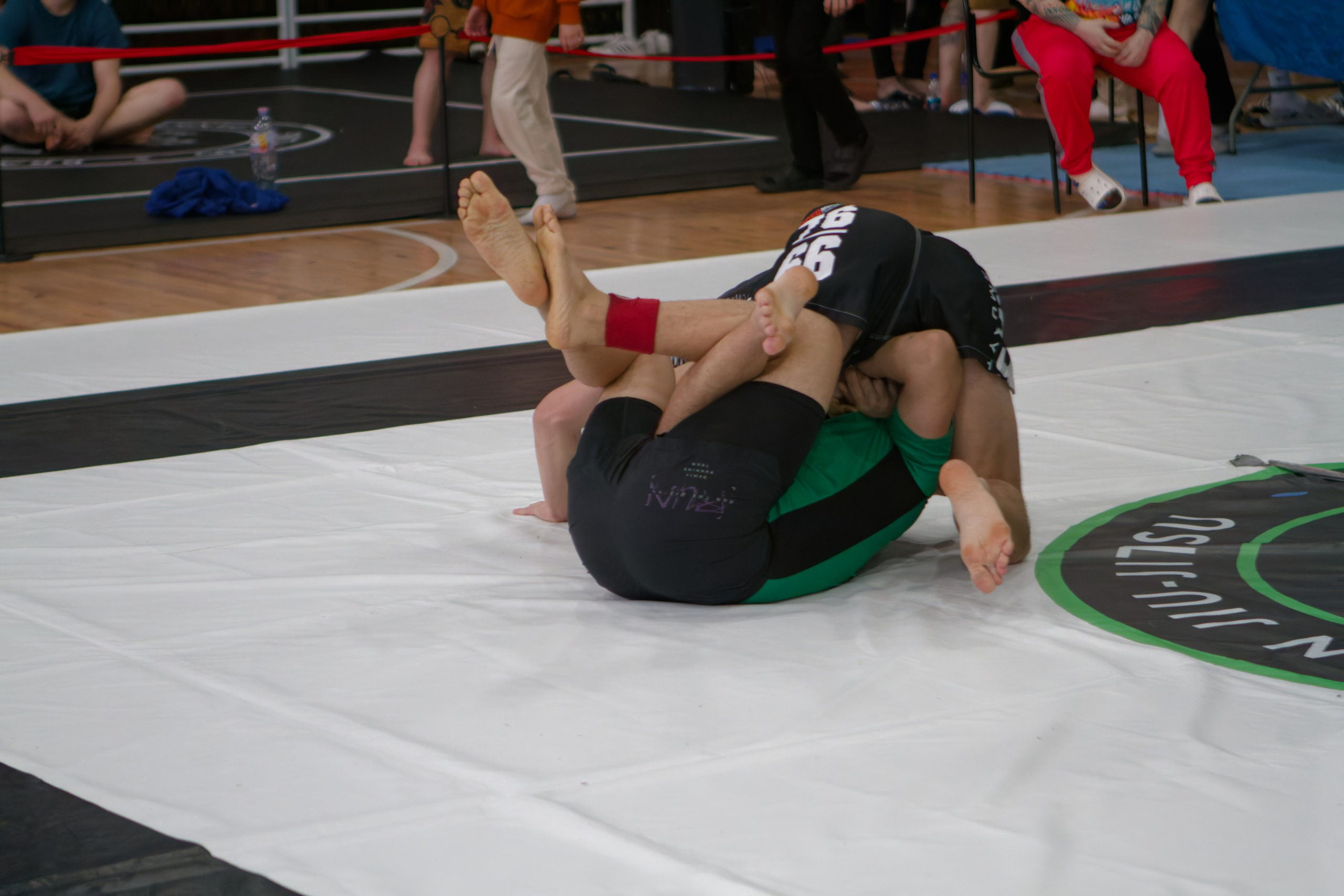 Борьба. Джиу-джитсу 26.04.2025. Репортажный и спортивный фотограф в г. Пермь Зильберг Павел