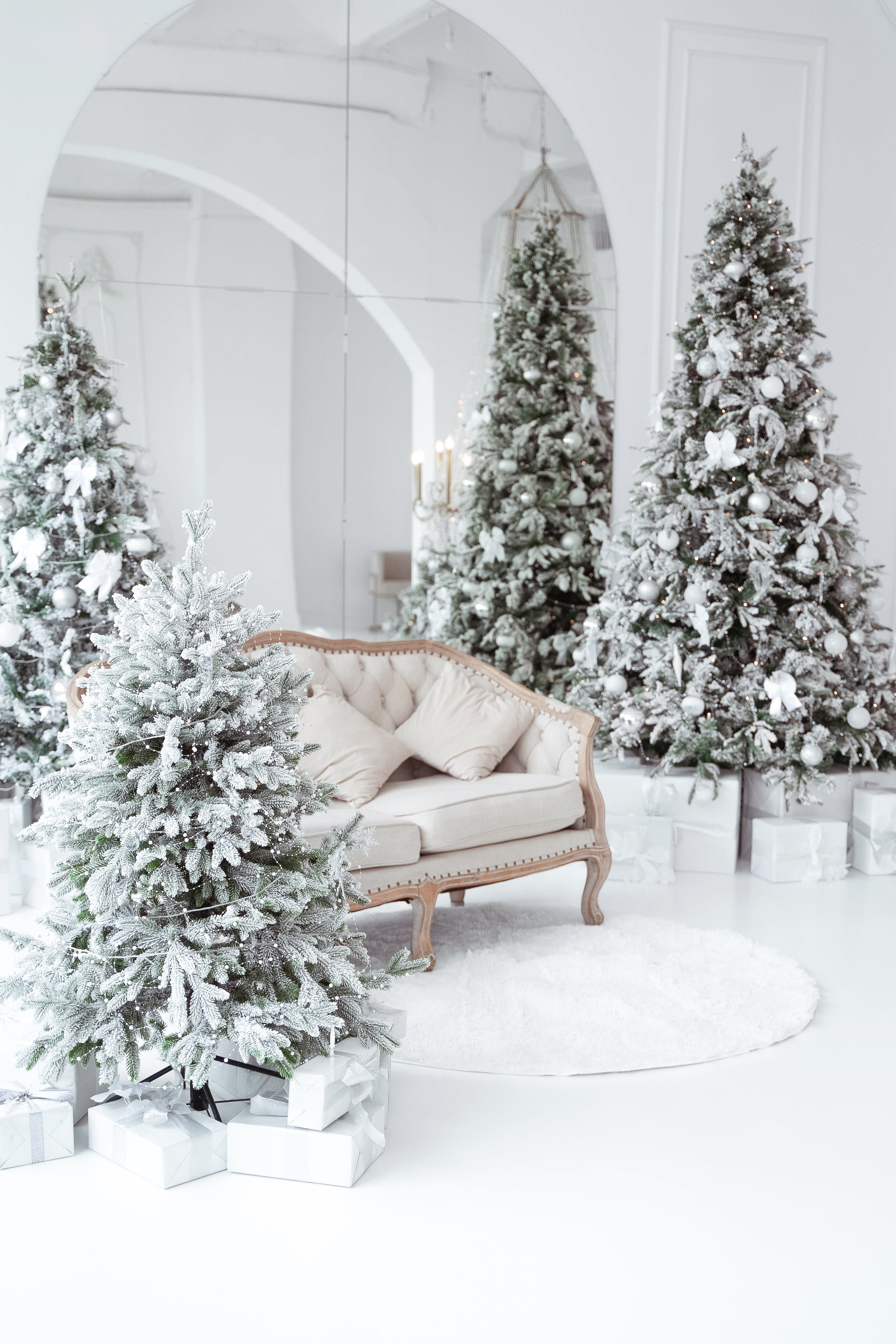 Зал Ренессанс. Фотограф г. Хабаровск. Семейные и индивидуальные съёмки