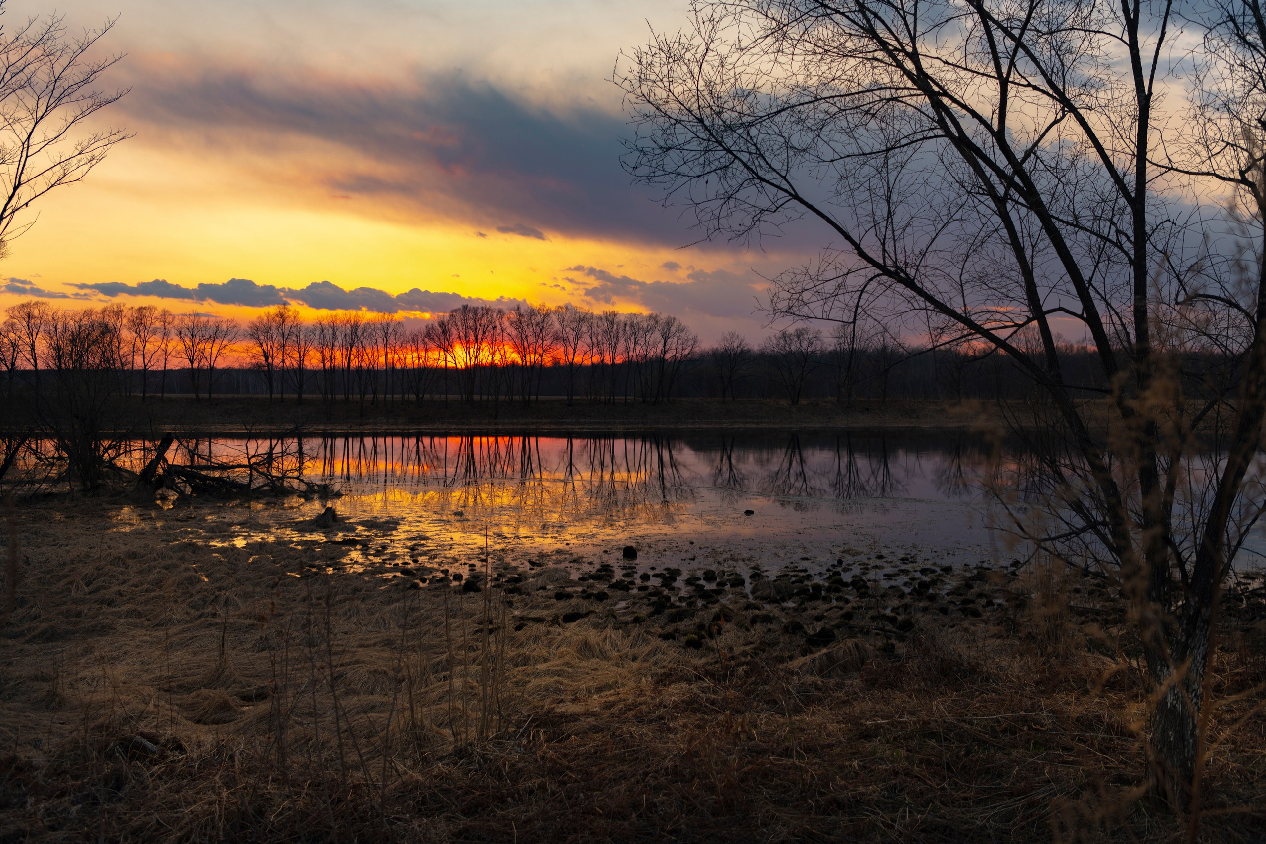 Природа Хабаровского края. Команда фотографов Кристины Ивановой